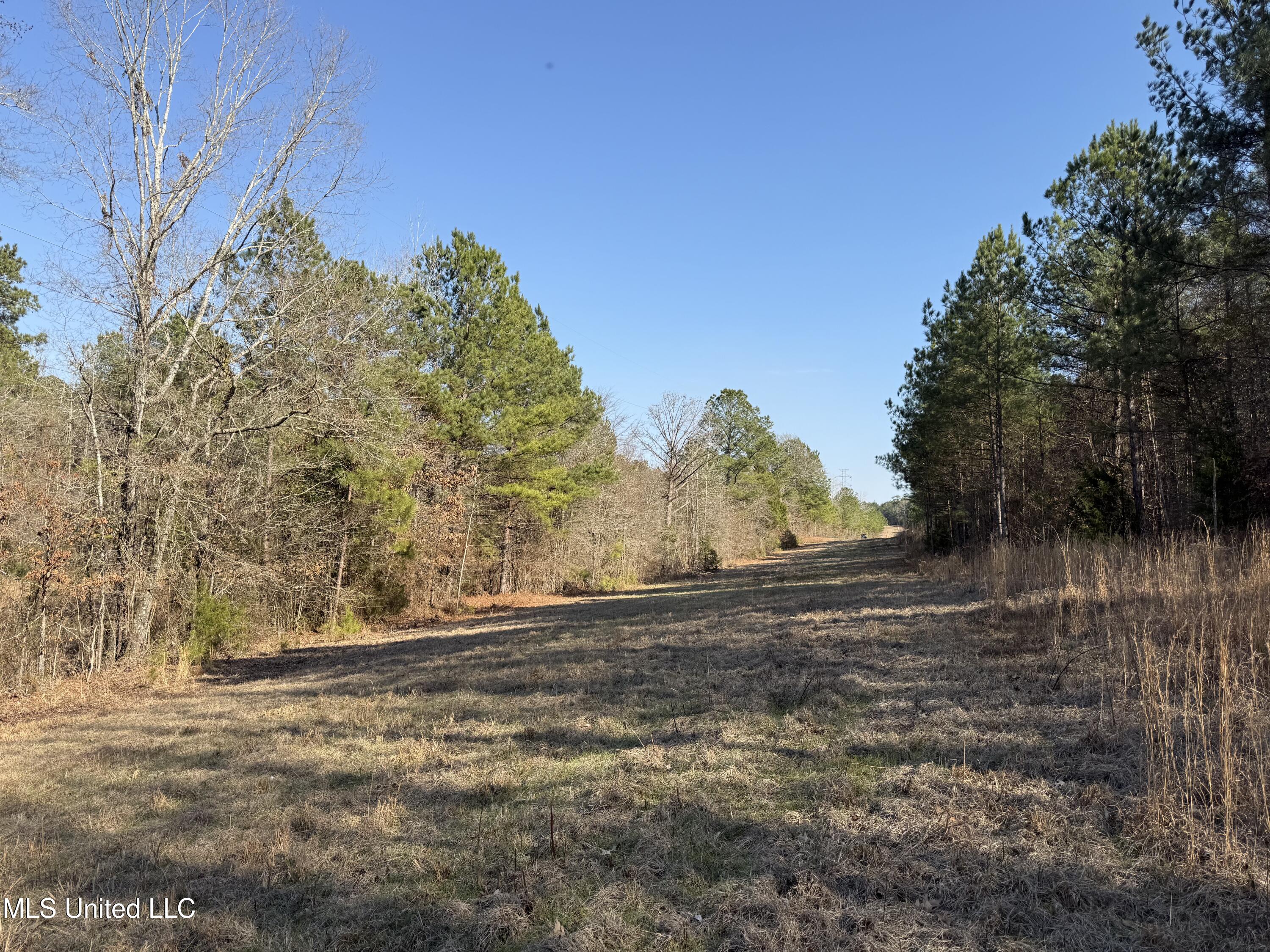 4136 Attala Road Sallis, MS 39160 - Photo 12 of 19 Photo Feb 13 2026, 2 49 59 PM
