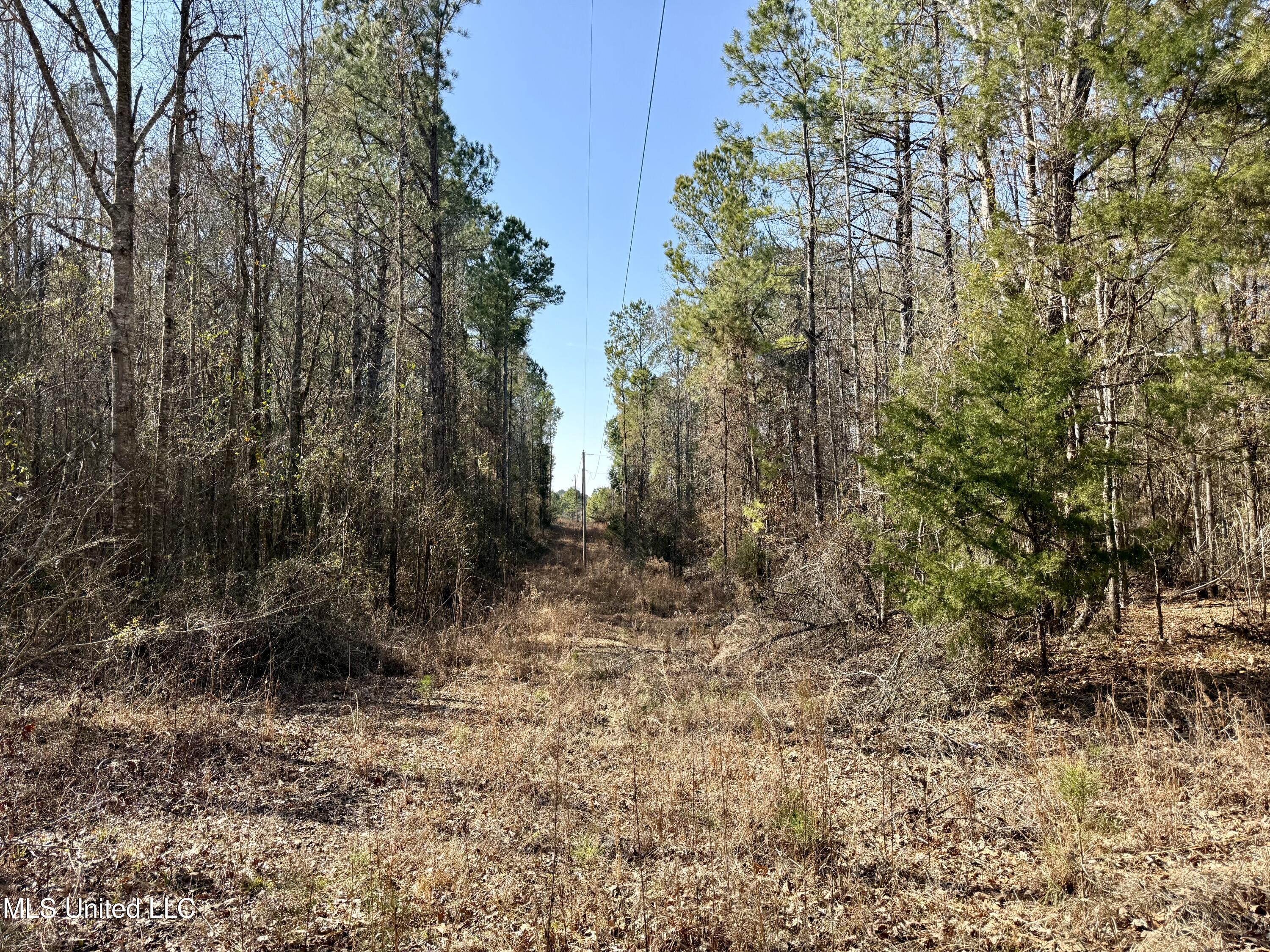 4136 Attala Road Sallis, MS 39160 - Photo 13 of 19 Photo Feb 13 2026, 2 17 35 PM