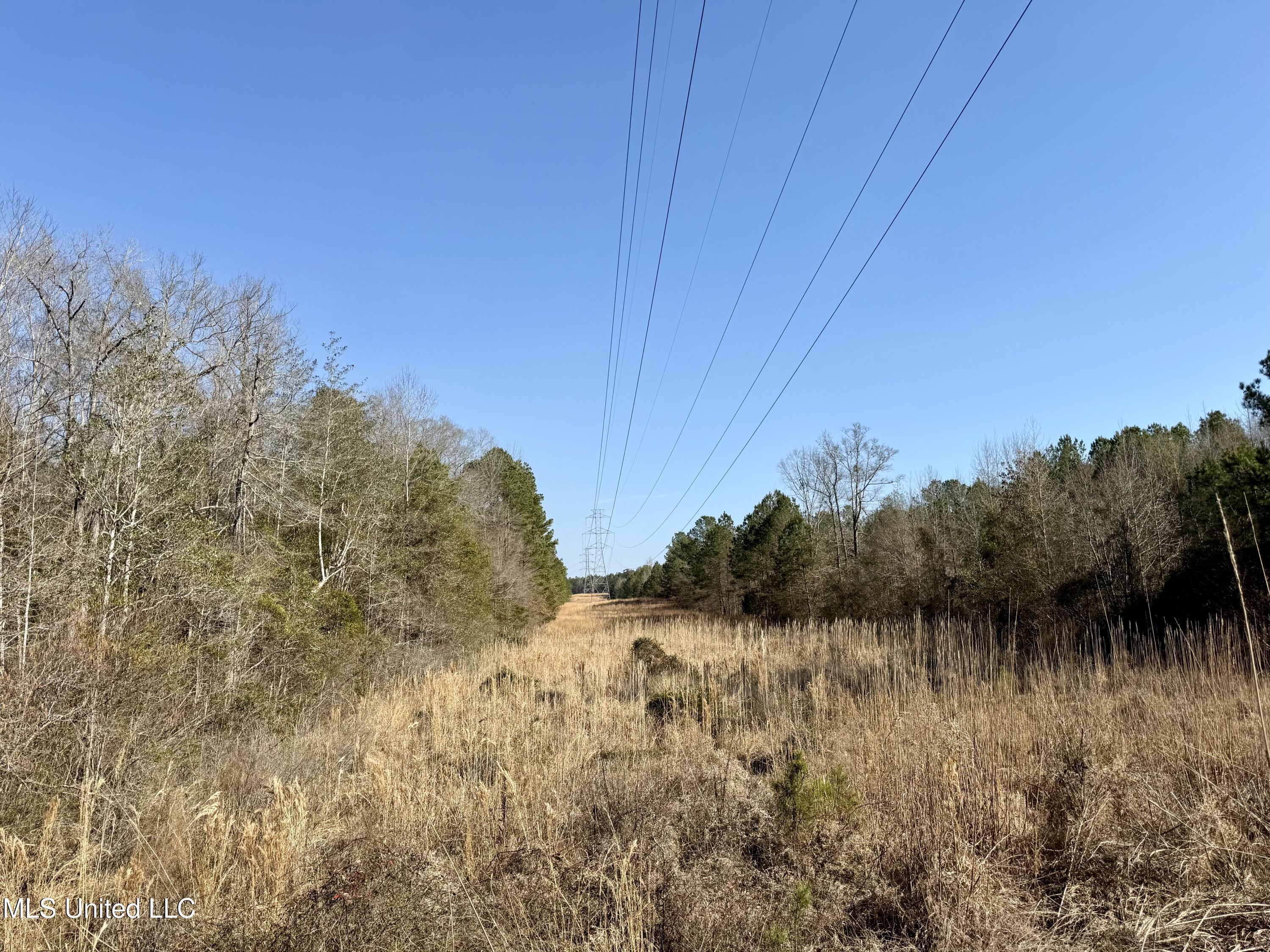 4136 Attala Road Sallis, MS 39160 - Photo 14 of 19 Photo Feb 13 2026, 2 54 47 PM