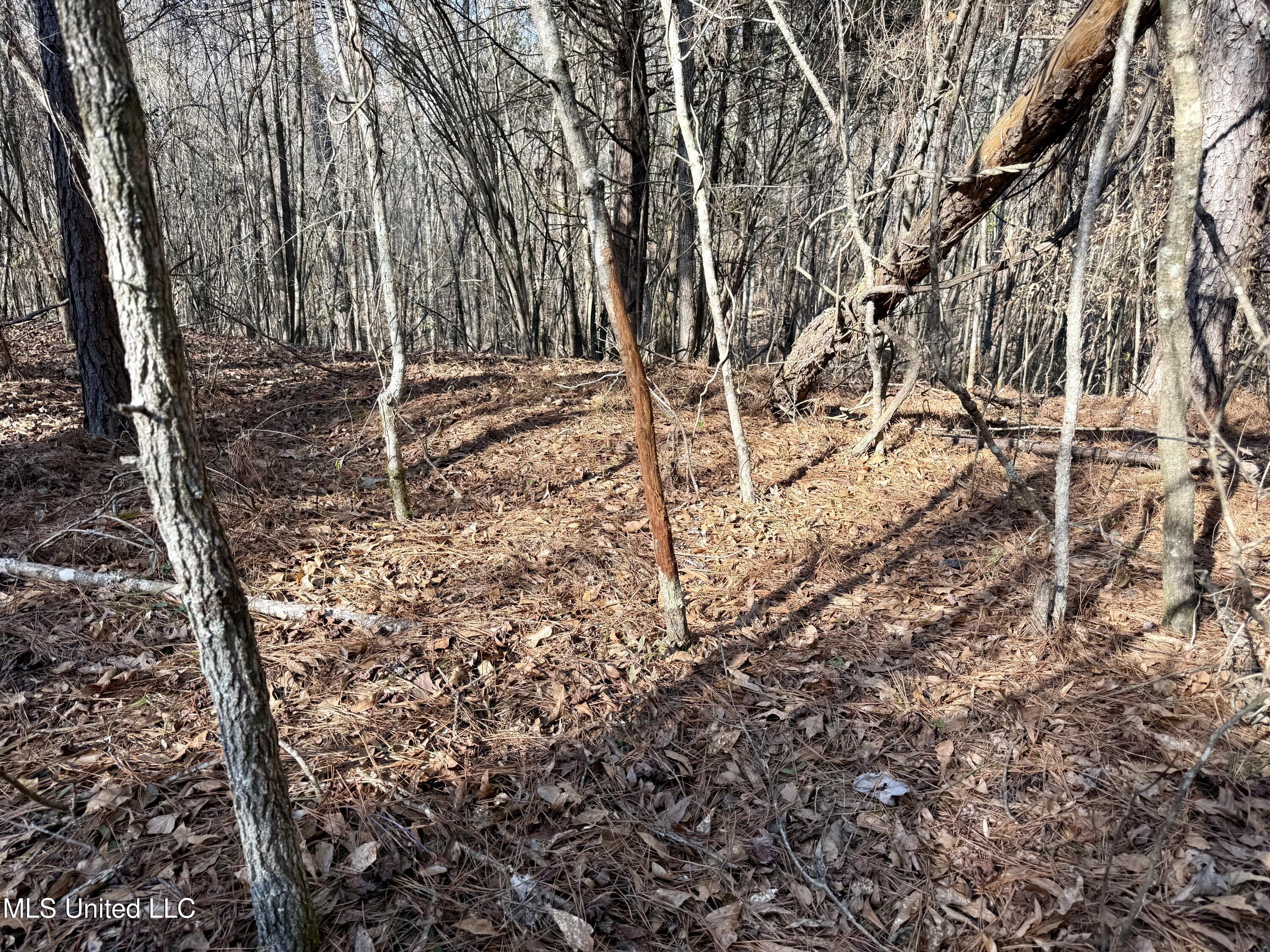 4136 Attala Road Sallis, MS 39160 - Photo 15 of 19 Photo Feb 13 2026, 3 00 45 PM