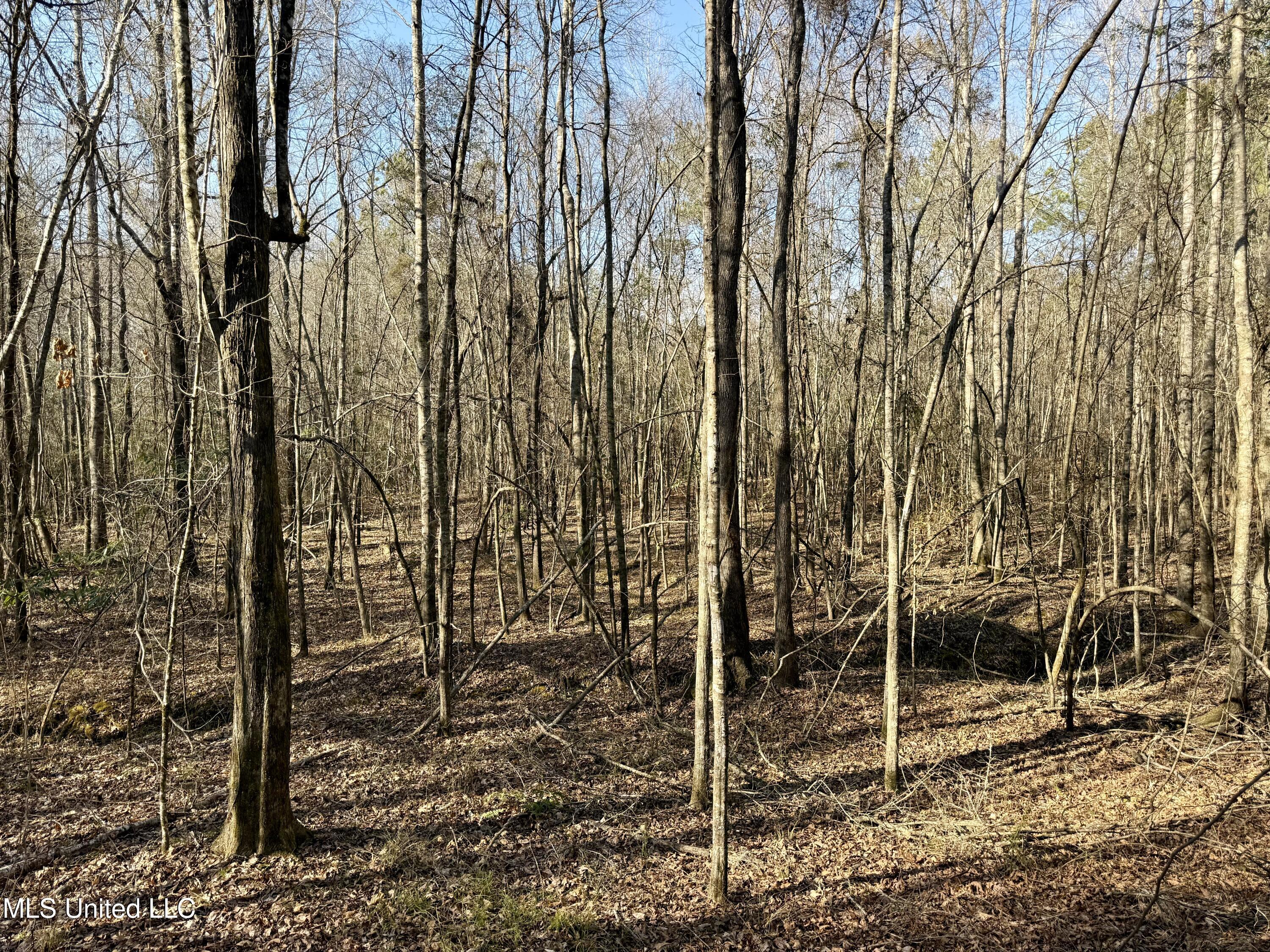 4136 Attala Road Sallis, MS 39160 - Photo 16 of 19 Photo Feb 13 2026, 3 02 42 PM