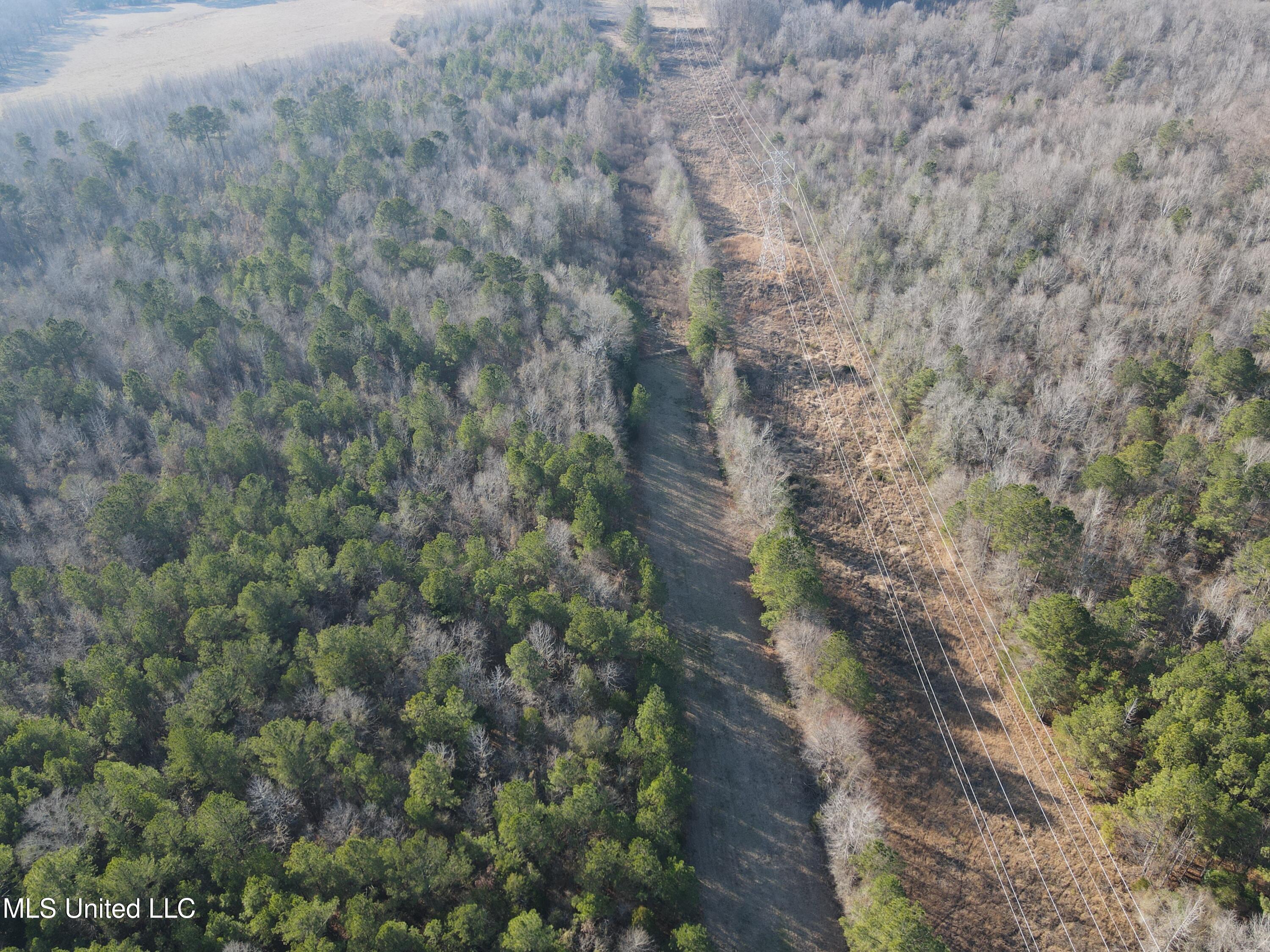 4136 Attala Road Sallis, MS 39160 - Photo 18 of 19 Photo Feb 13 2026, 3 26 28 PM