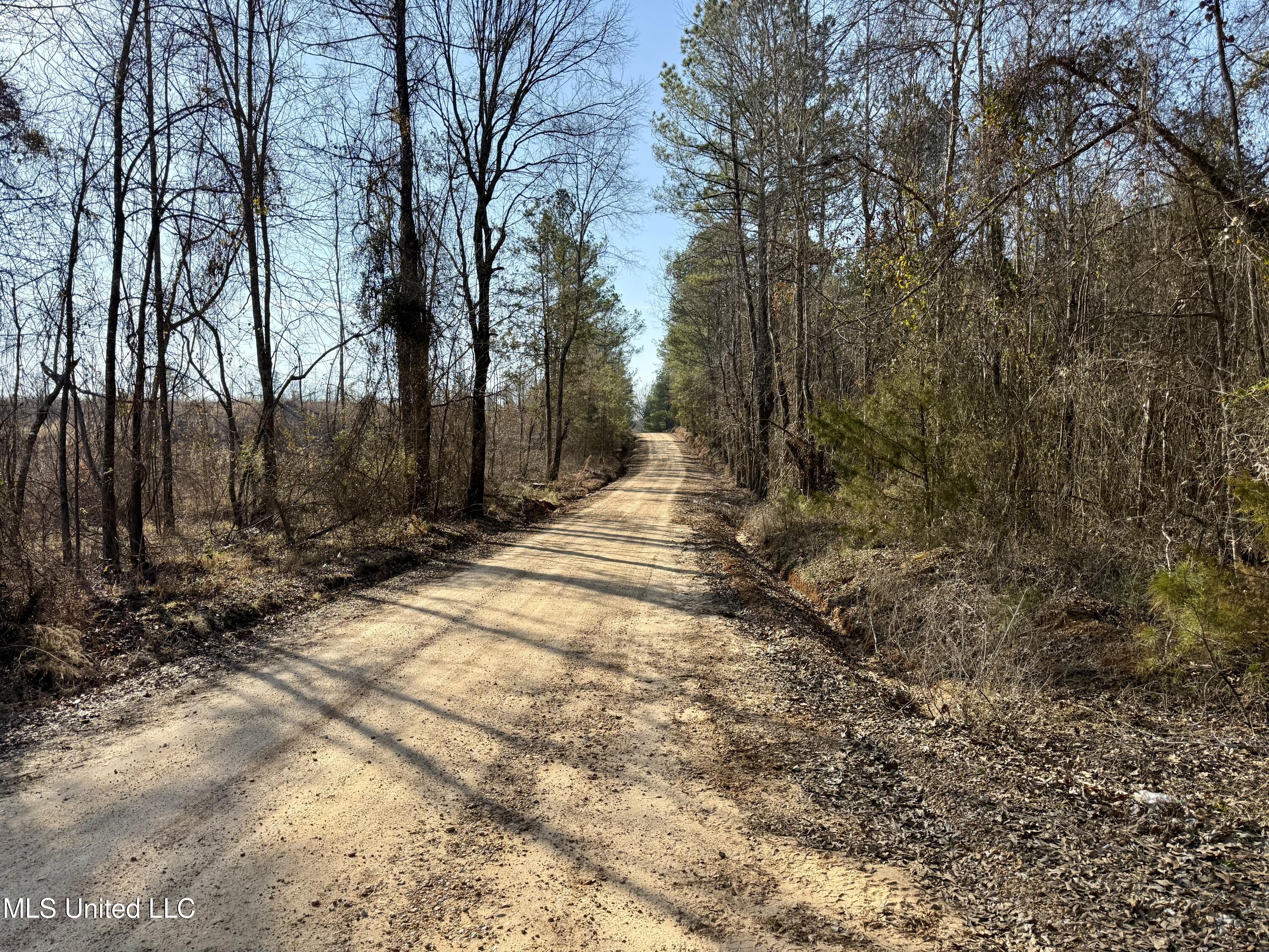 4136 Attala Road Sallis, MS 39160 - Photo 2 of 19 Photo Feb 13 2026, 3 21 59 PM