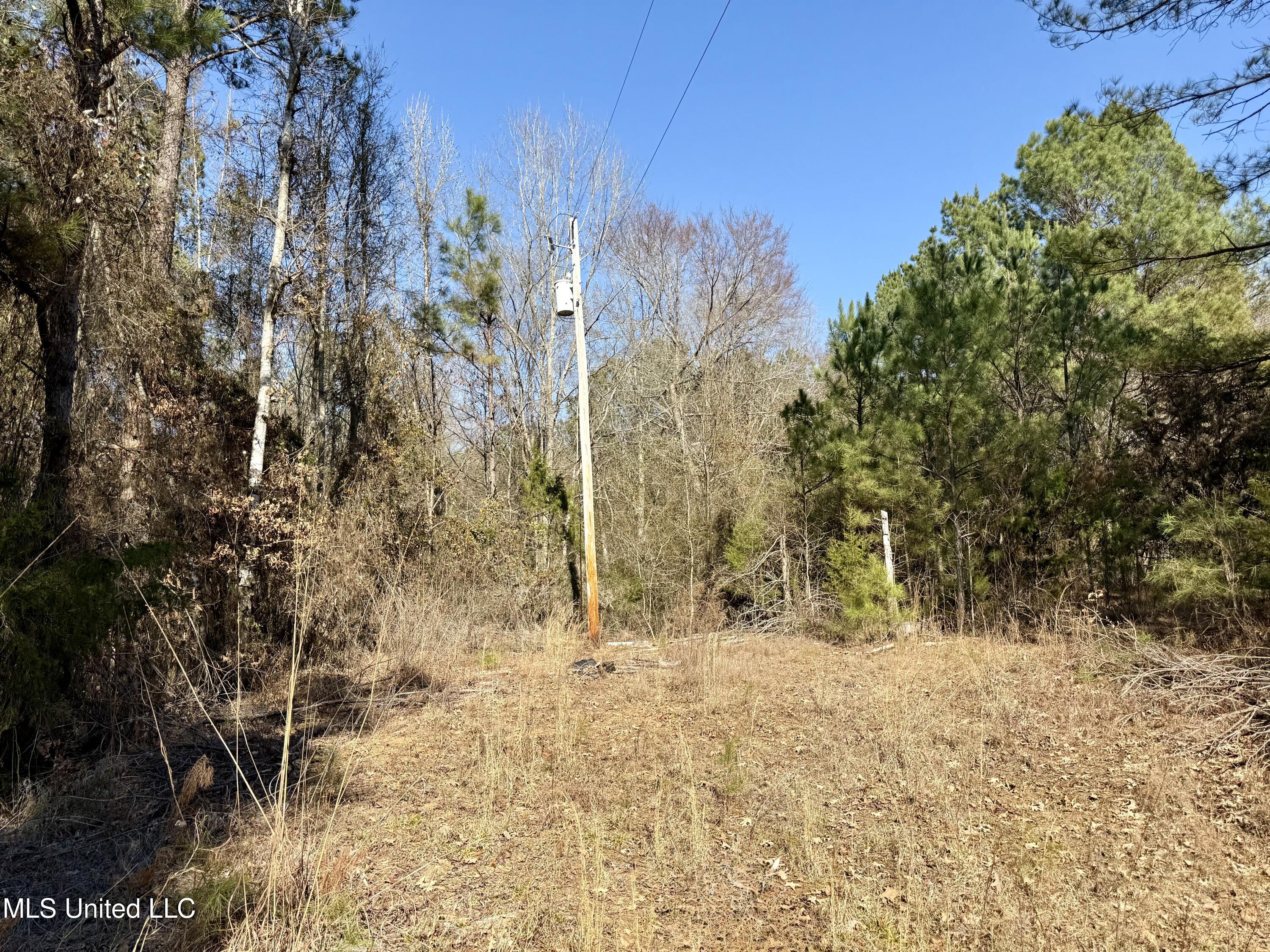 4136 Attala Road Sallis, MS 39160 - Photo 3 of 19 Photo Feb 13 2026, 2 19 29 PM (1)