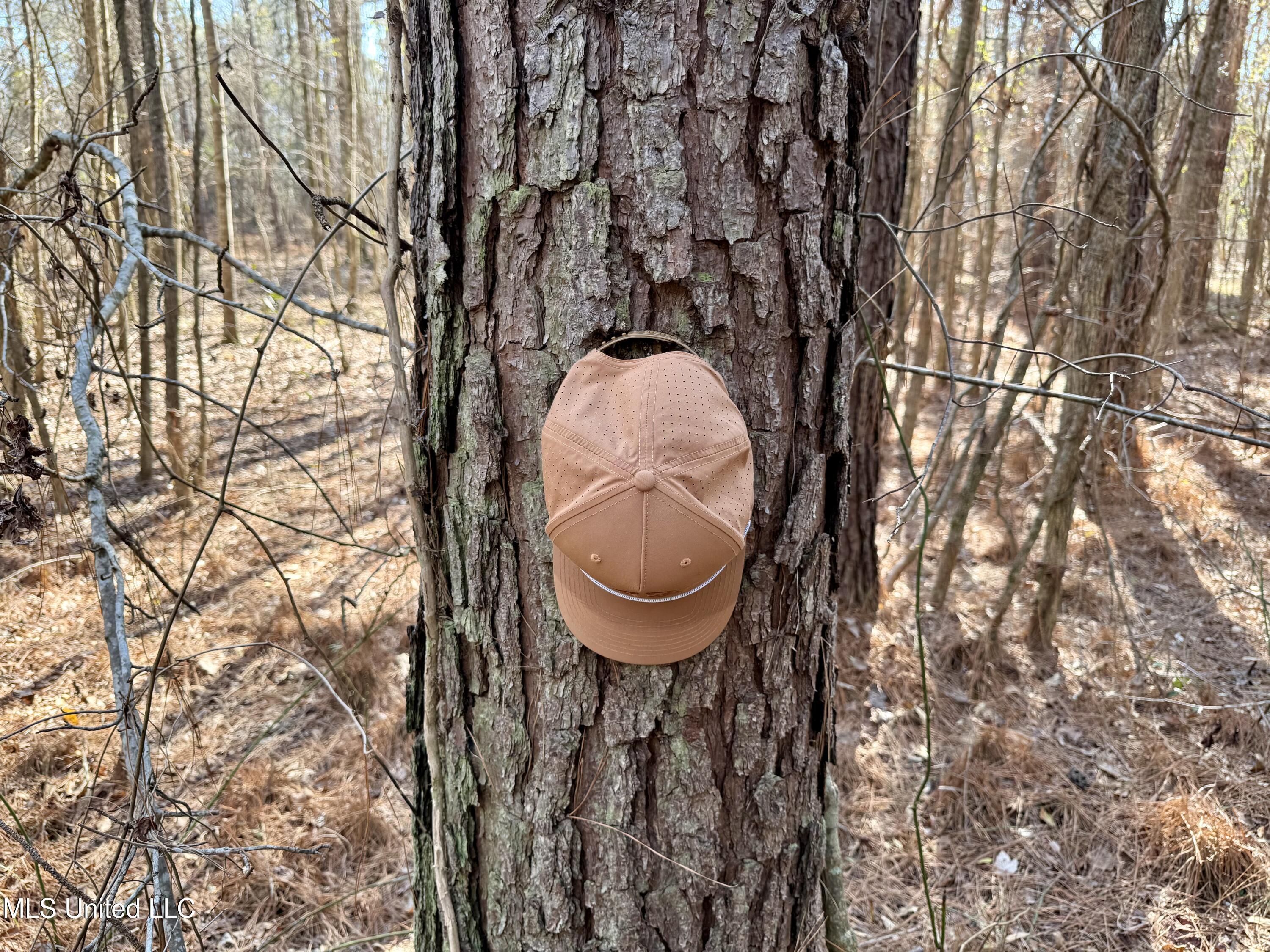 4136 Attala Road Sallis, MS 39160 - Photo 4 of 19 Photo Feb 13 2026, 2 21 31 PM