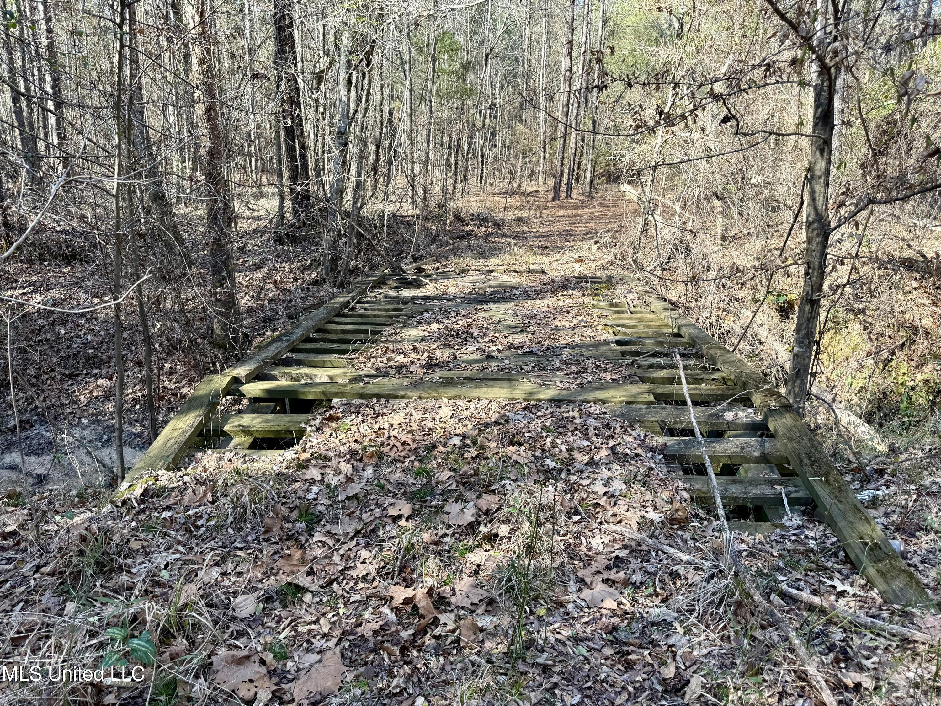 4136 Attala Road Sallis, MS 39160 - Photo 6 of 19 Photo Feb 13 2026, 2 29 03 PM