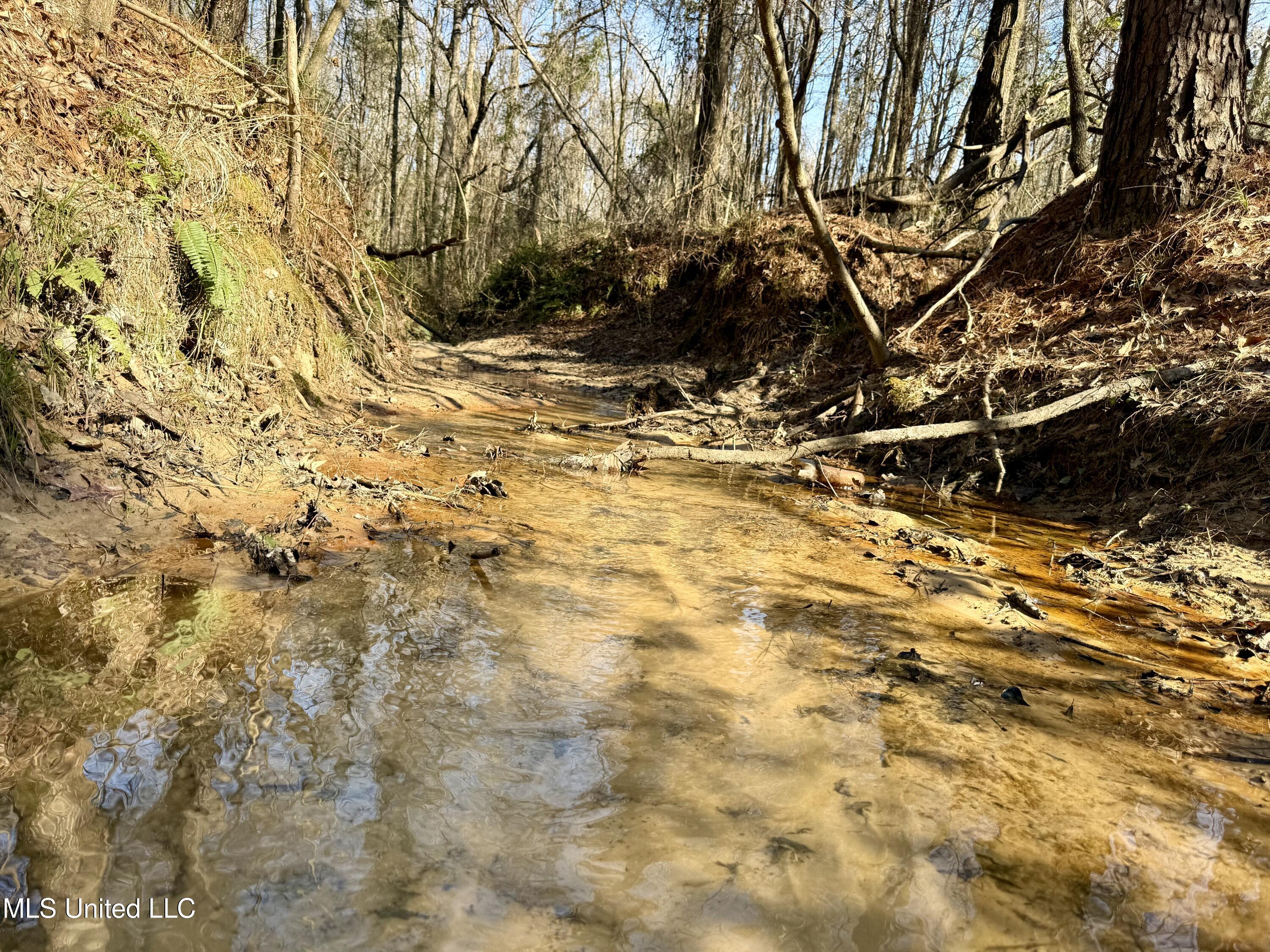 4136 Attala Road Sallis, MS 39160 - Photo 7 of 19 Photo Feb 13 2026, 2 33 02 PM