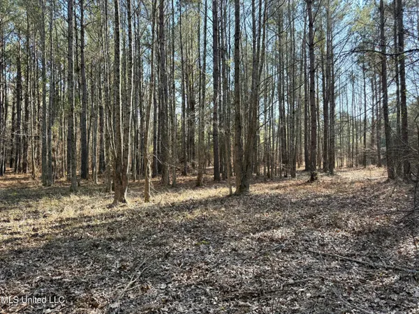 $241,150 | 4136 Attala Road, Sallis, MS 39160