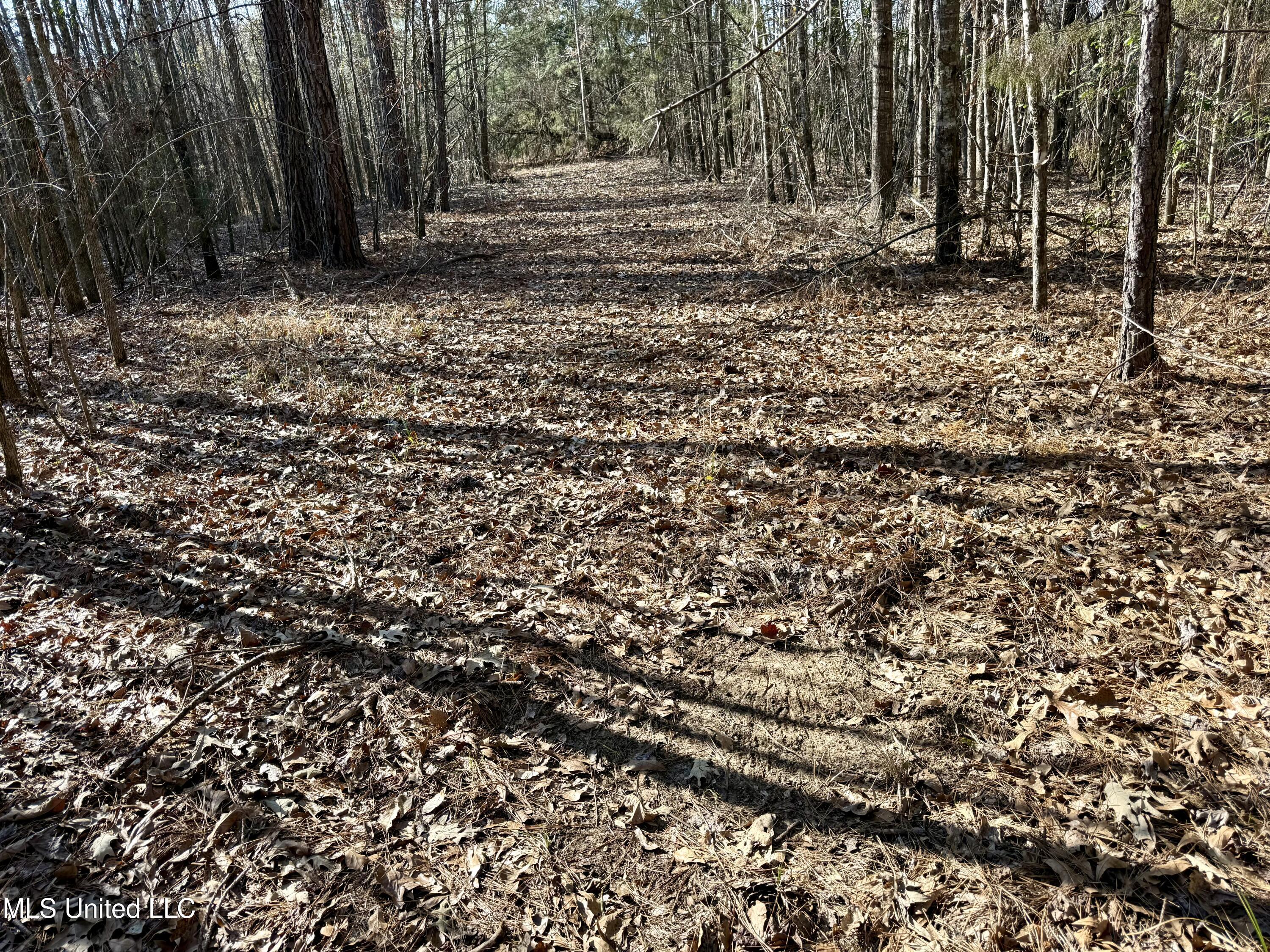 4136 Attala Road Sallis, MS 39160 - Photo 9 of 19 Photo Feb 13 2026, 2 44 03 PM