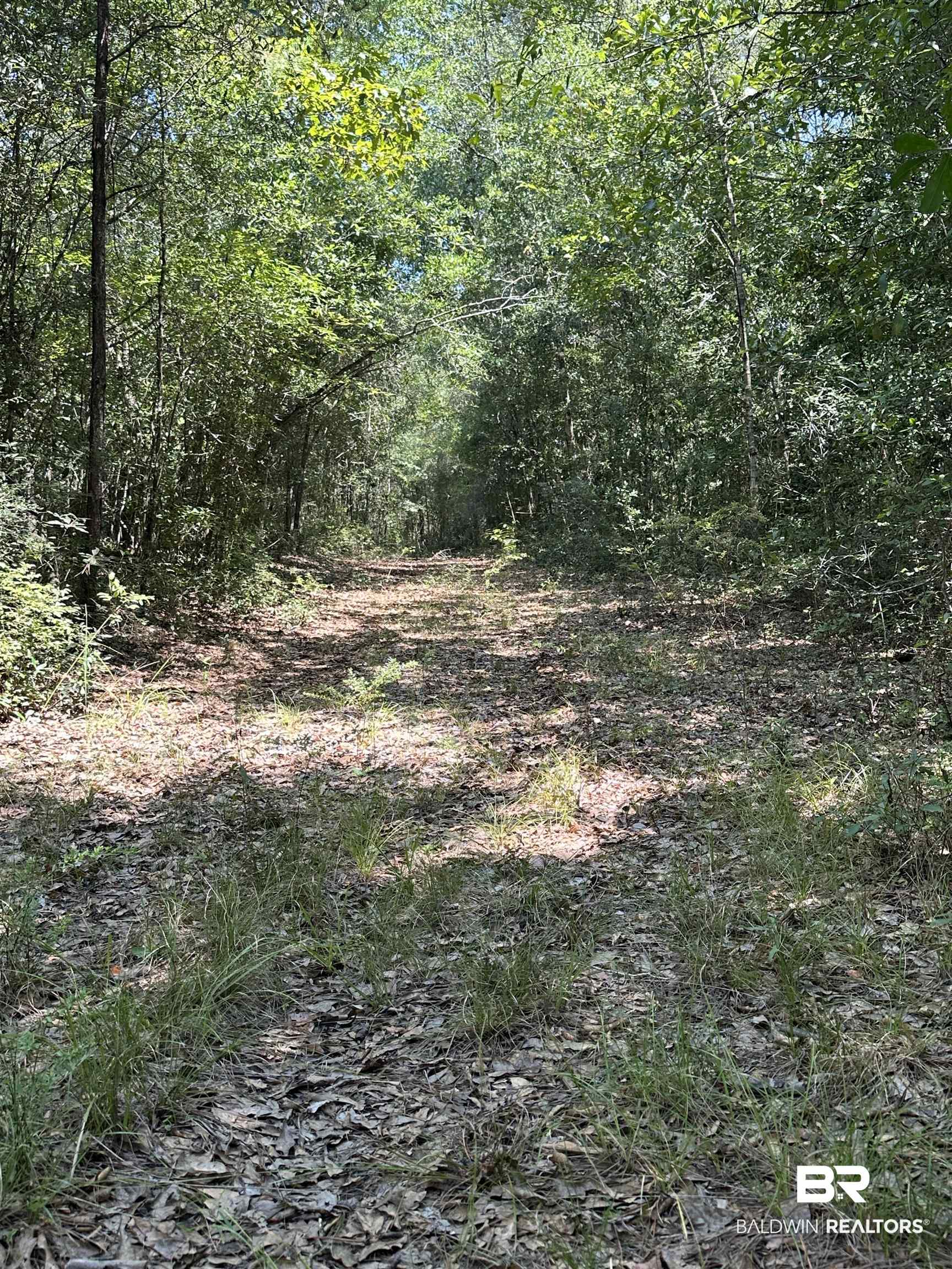 17175 Kelly Road Mount Vernon, AL 36560 - Photo 22 of 30 View of nature