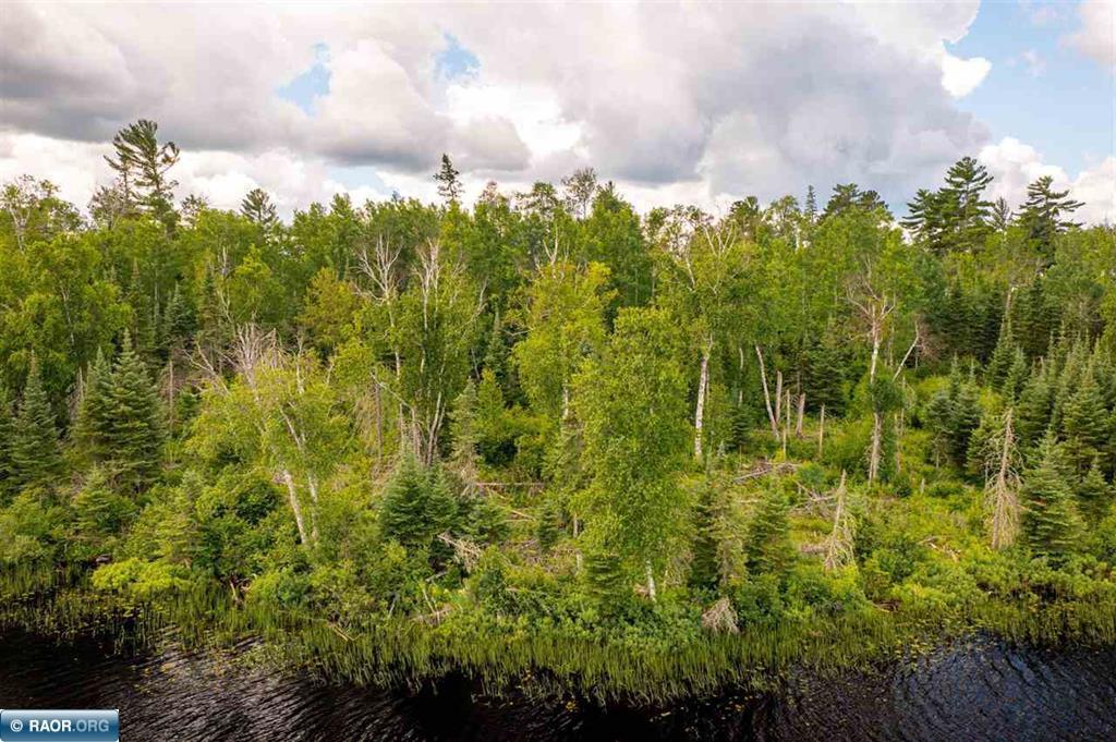 Tbd Koski Road Tower, MN 55790 - Photo 10 of 14