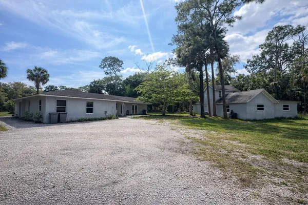 a backyard of a house with plants and tree