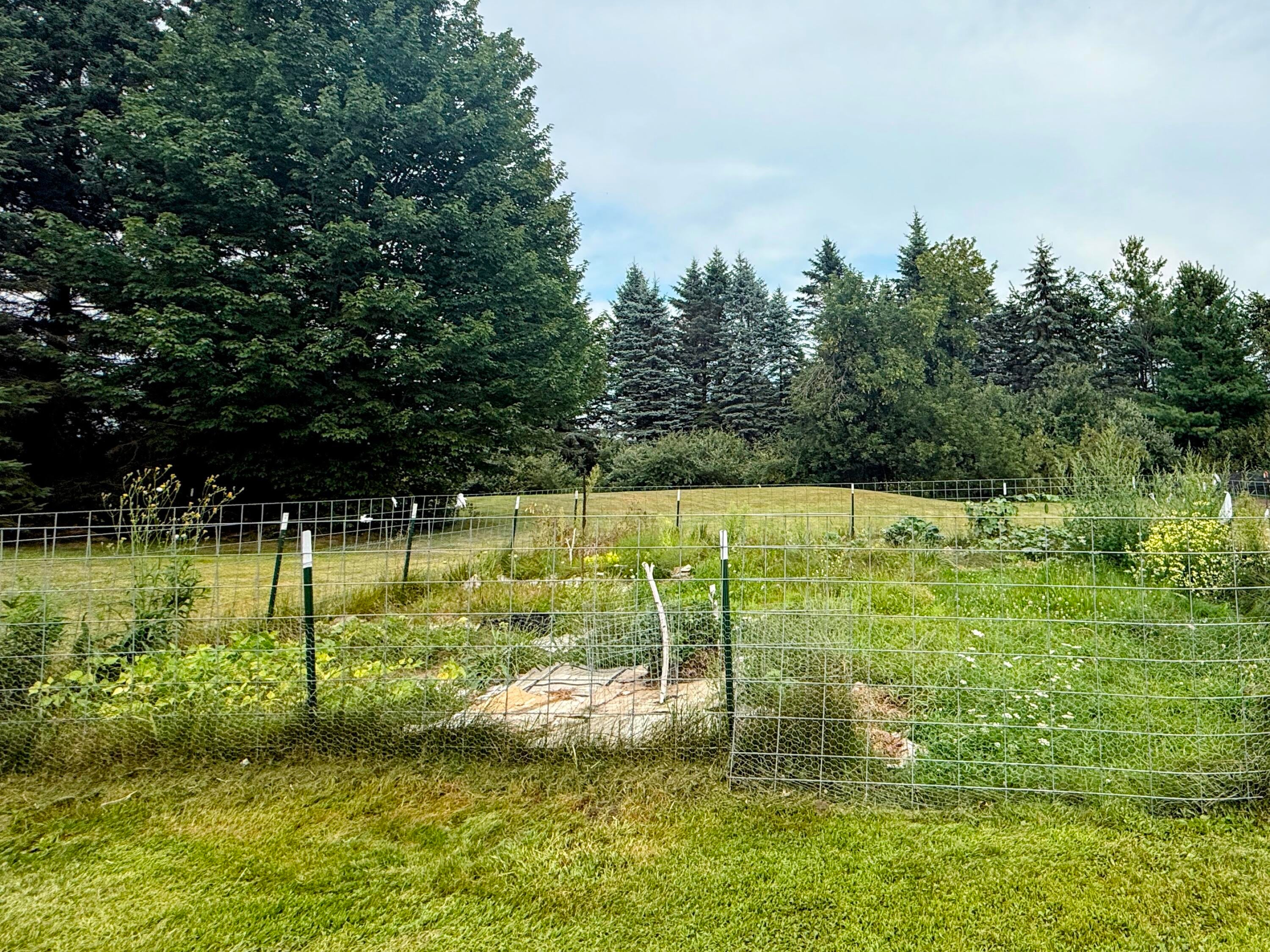 2364 Vanyea Road Cheboygan, MI 49721 - Photo 20 of 21 Gallery Image 20
