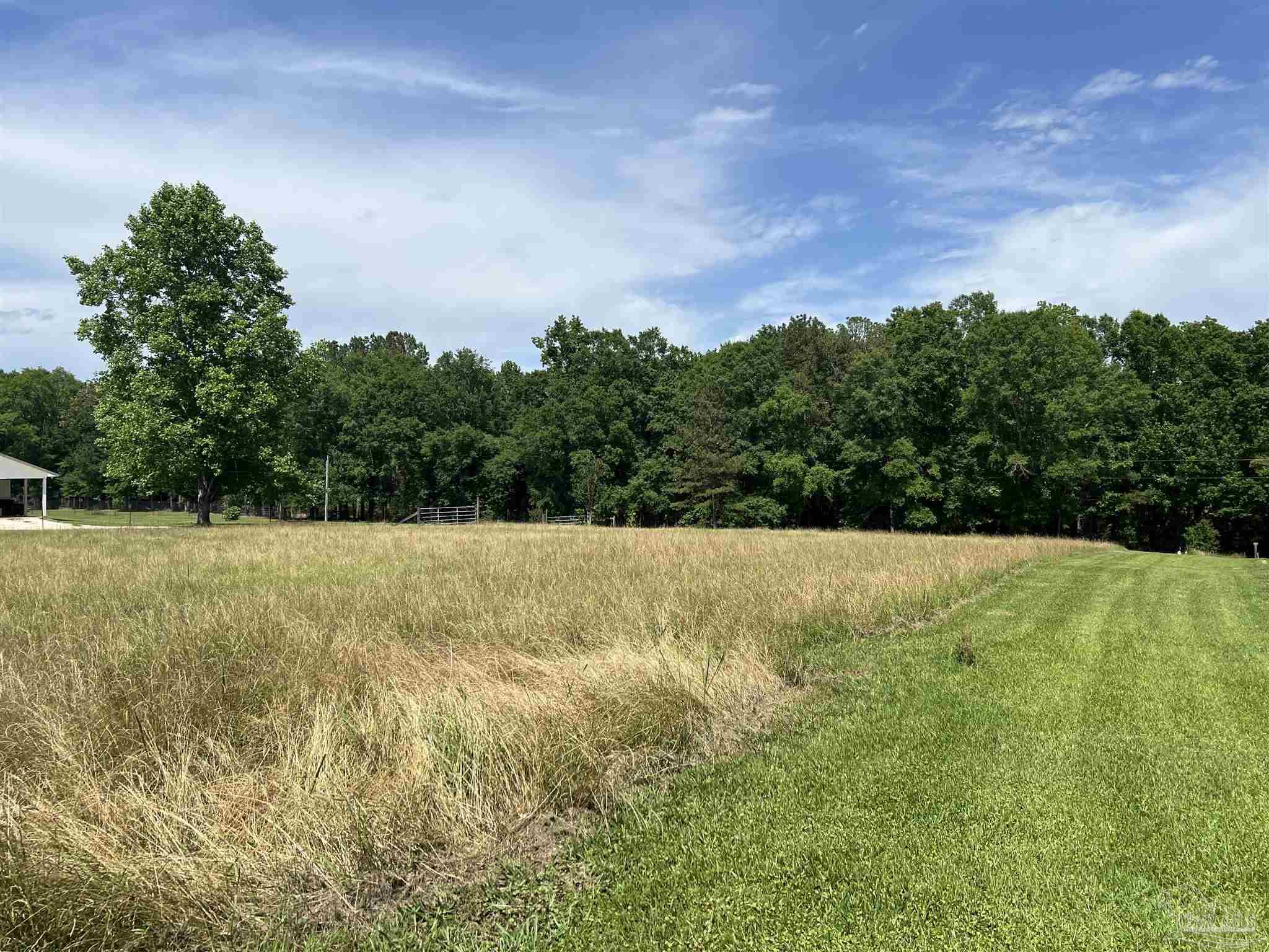 6000-block Scranage Road Atmore, AL 36502 - Photo 13 of 14