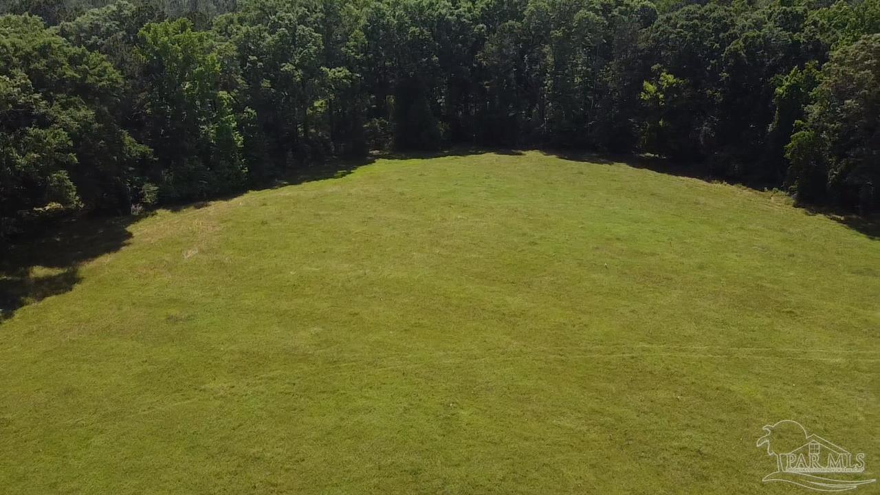 6000-block Scranage Road Atmore, AL 36502 - Photo 3 of 14