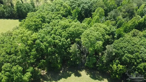 $60,000 | 6000-block Scranage Road, Atmore, AL 36502