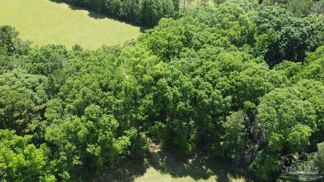 6000-block Scranage Road Atmore, AL 36502 - Photo 9 of 14