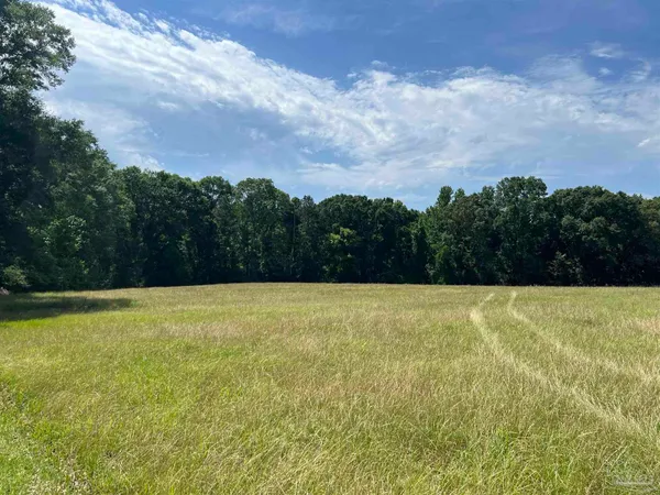 $60,000 | 6000-block Scranage Road, Atmore, AL 36502