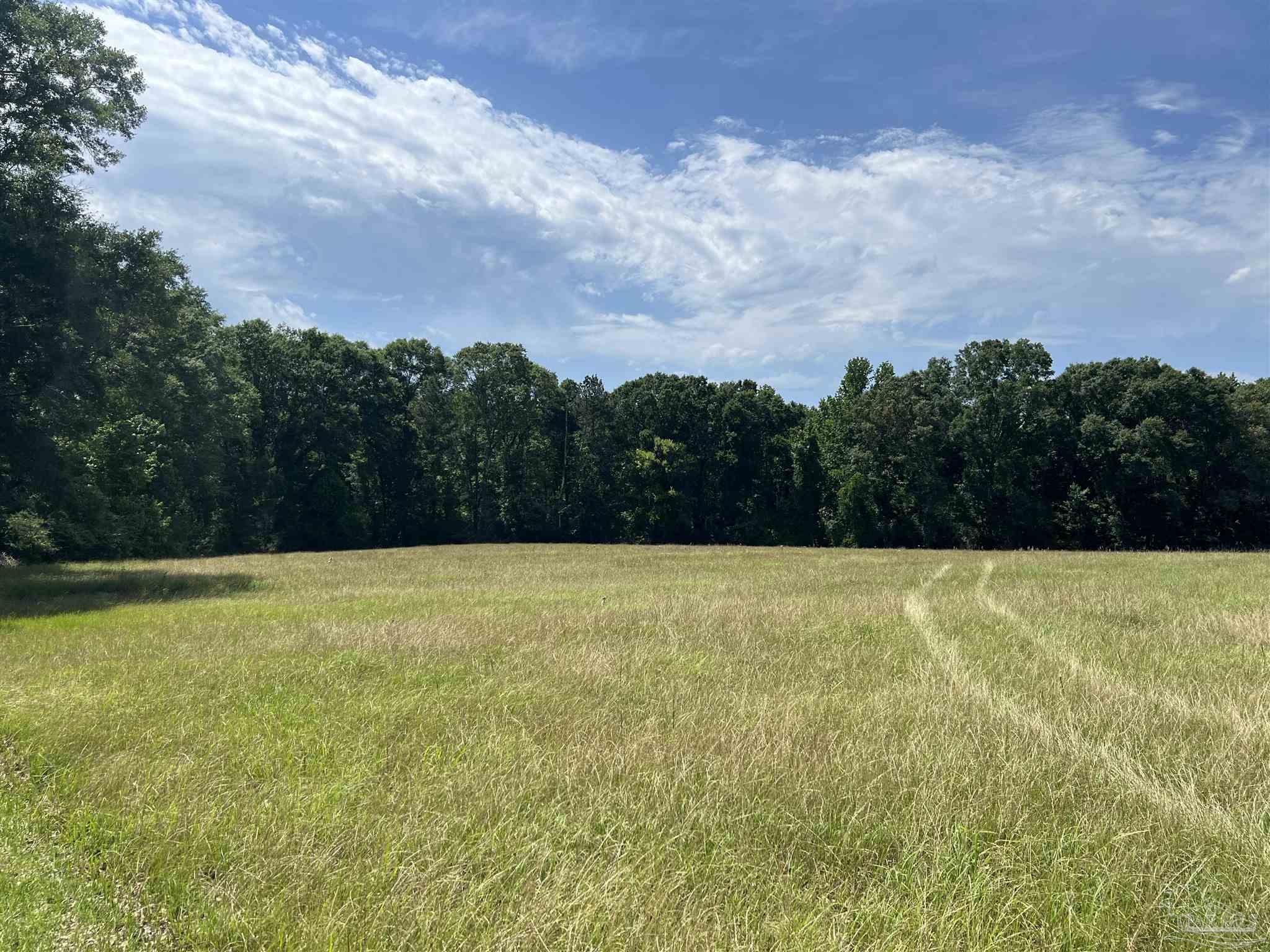 6000-block Scranage Road Atmore, AL 36502 - Photo 10 of 14
