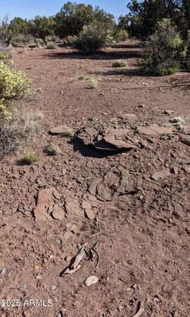 a view of a lake with beach