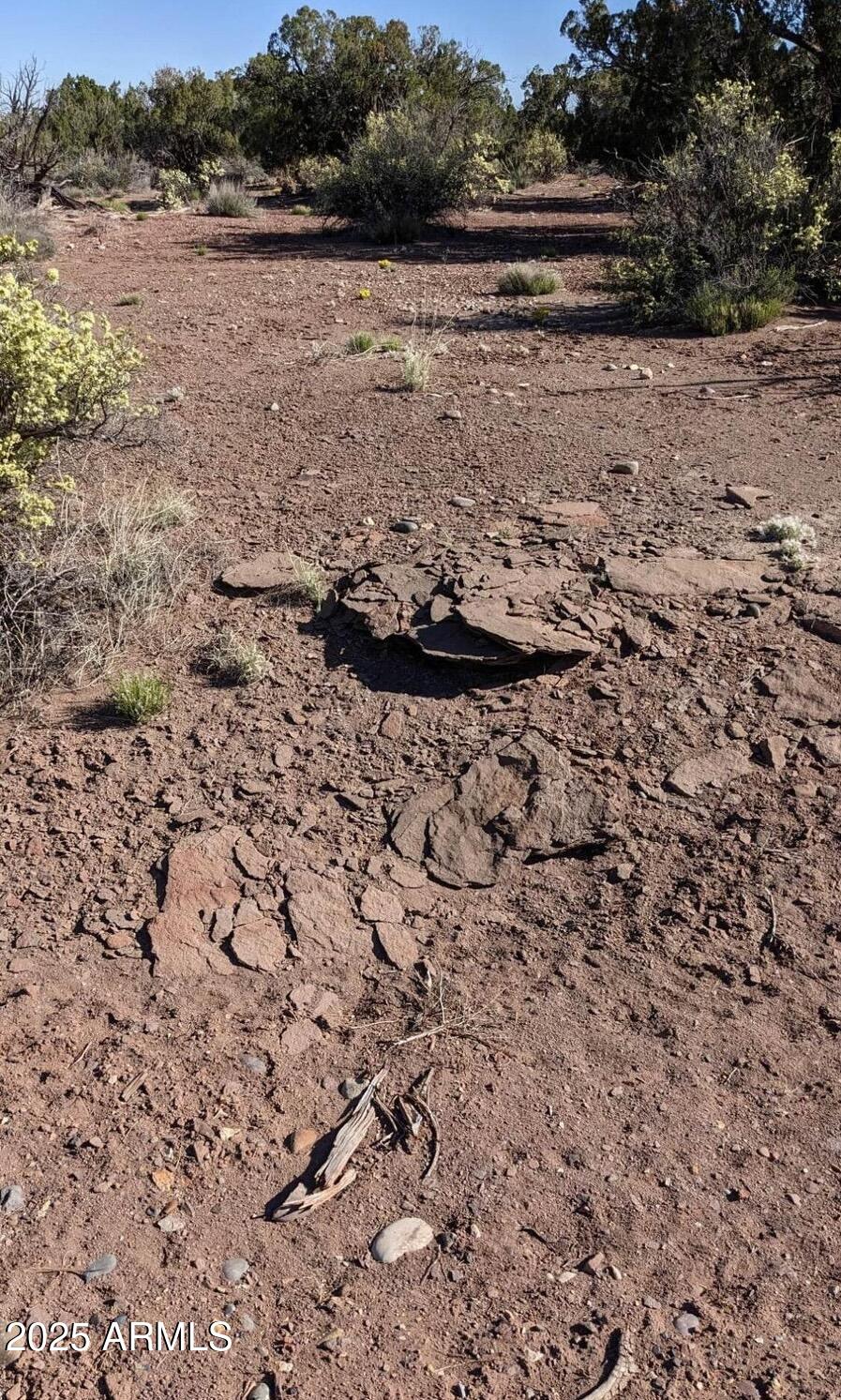 4266 Bunkhouse Road, Unit 6 Snowflake, AZ 85937 - Photo 3 of 9 a view of a lake with beach