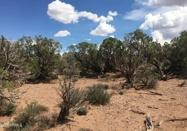 a view of a covered with snow in the background