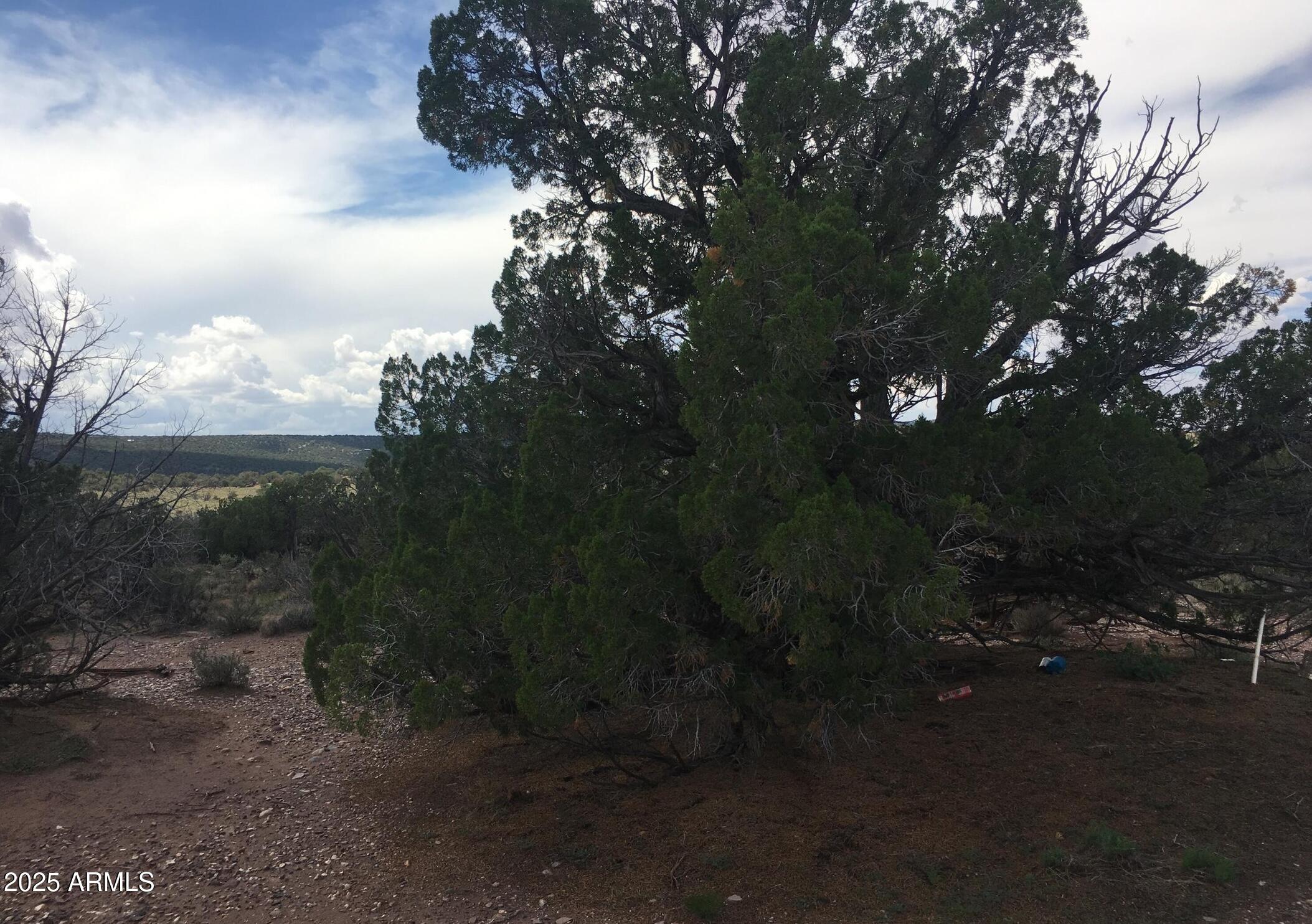 4266 Bunkhouse Road, Unit 6 Snowflake, AZ 85937 - Photo 9 of 9 a view of a city street from a yard