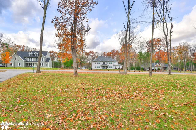 a view of yard with green space