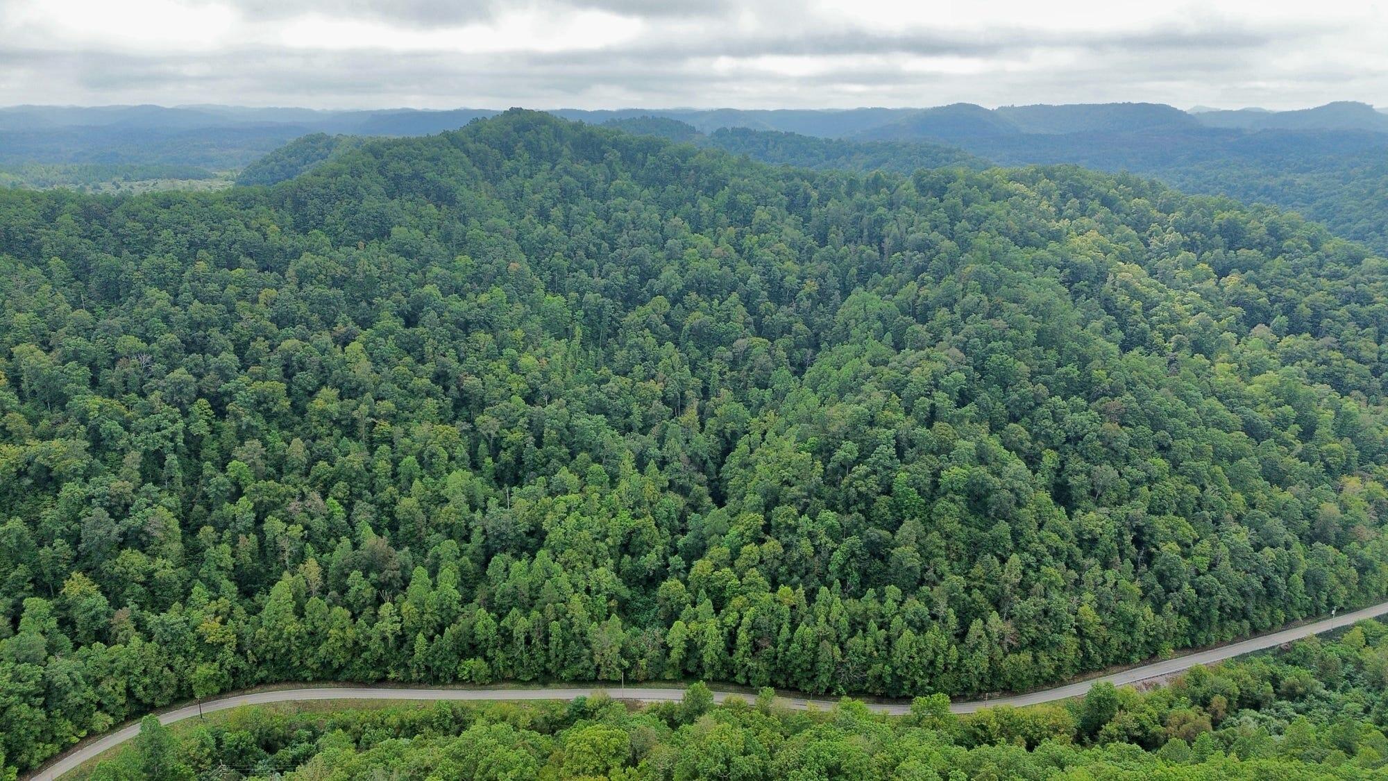 9074 Wolf Creek Road Pilgrim, KY 41250 - Photo 119 of 133 Aerial of Property