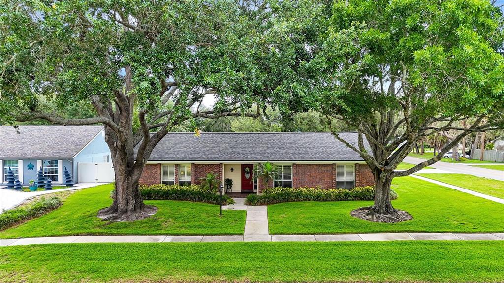 11816 Lipsey Road Tampa, FL 33618 - Photo 41 of 50