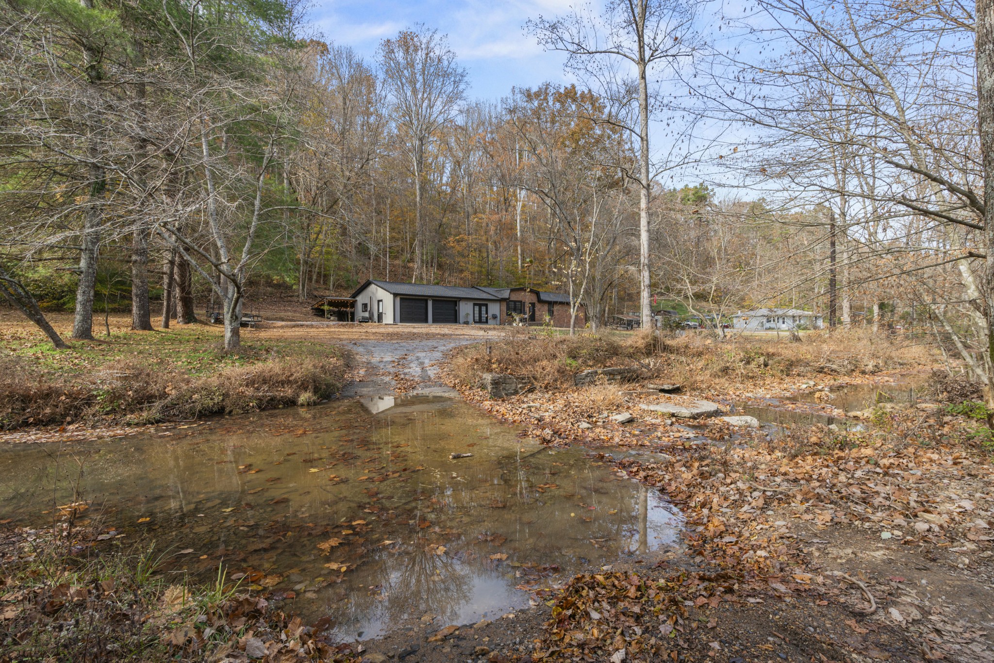 a view of a yard with trees in the background