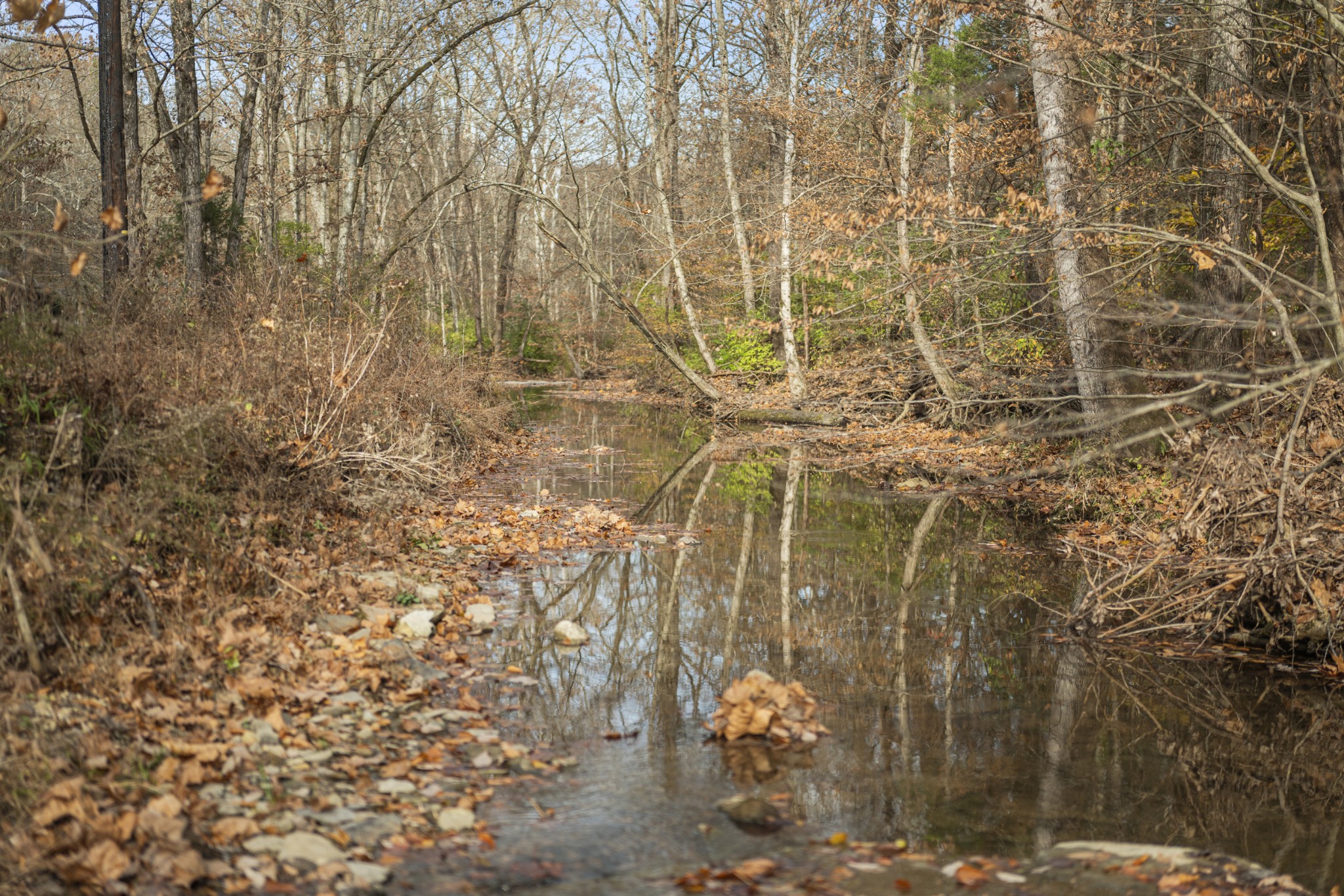1420 Indian Springs Road Pegram, TN 37143 - Photo 30 of 39 a bathroom with a shower