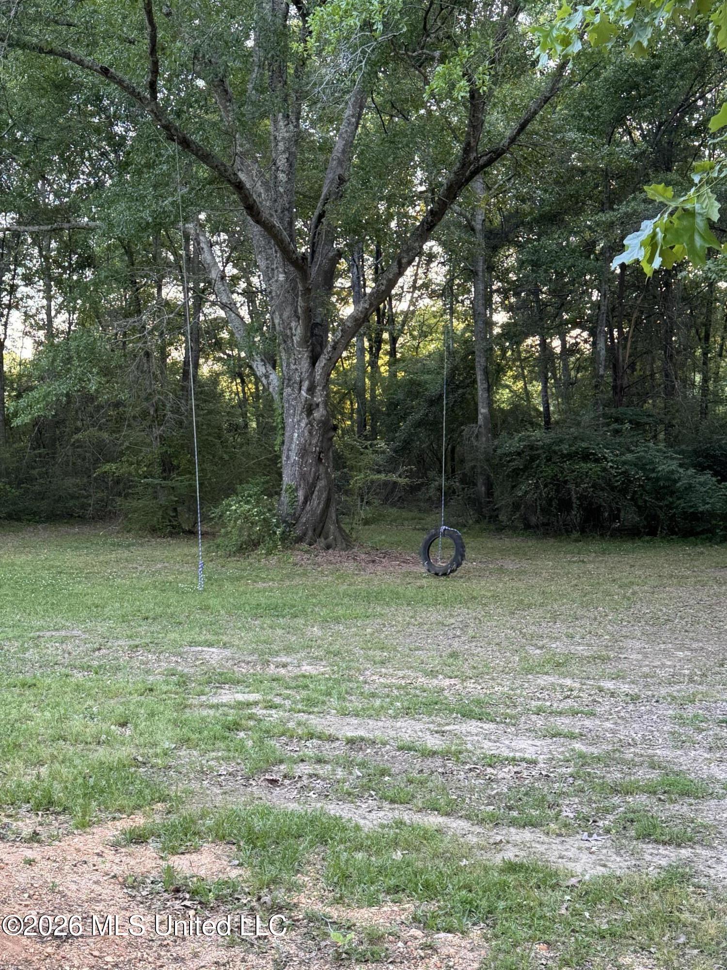 138 Corley Road Brandon, MS 39042 - Photo 11 of 50 IMG_3785