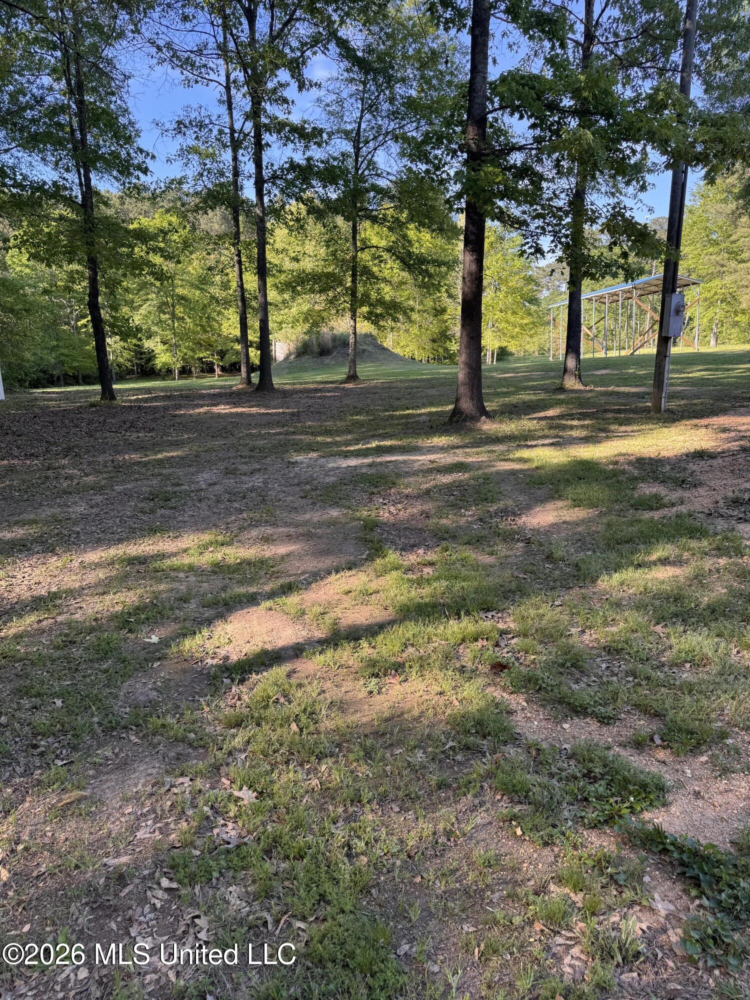 138 Corley Road Brandon, MS 39042 - Photo 12 of 50 IMG_3682