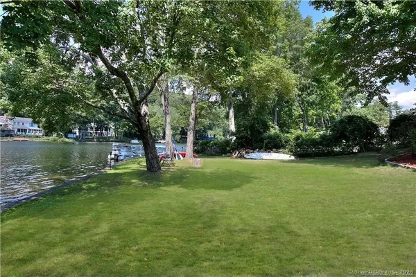 a view of a park with large trees