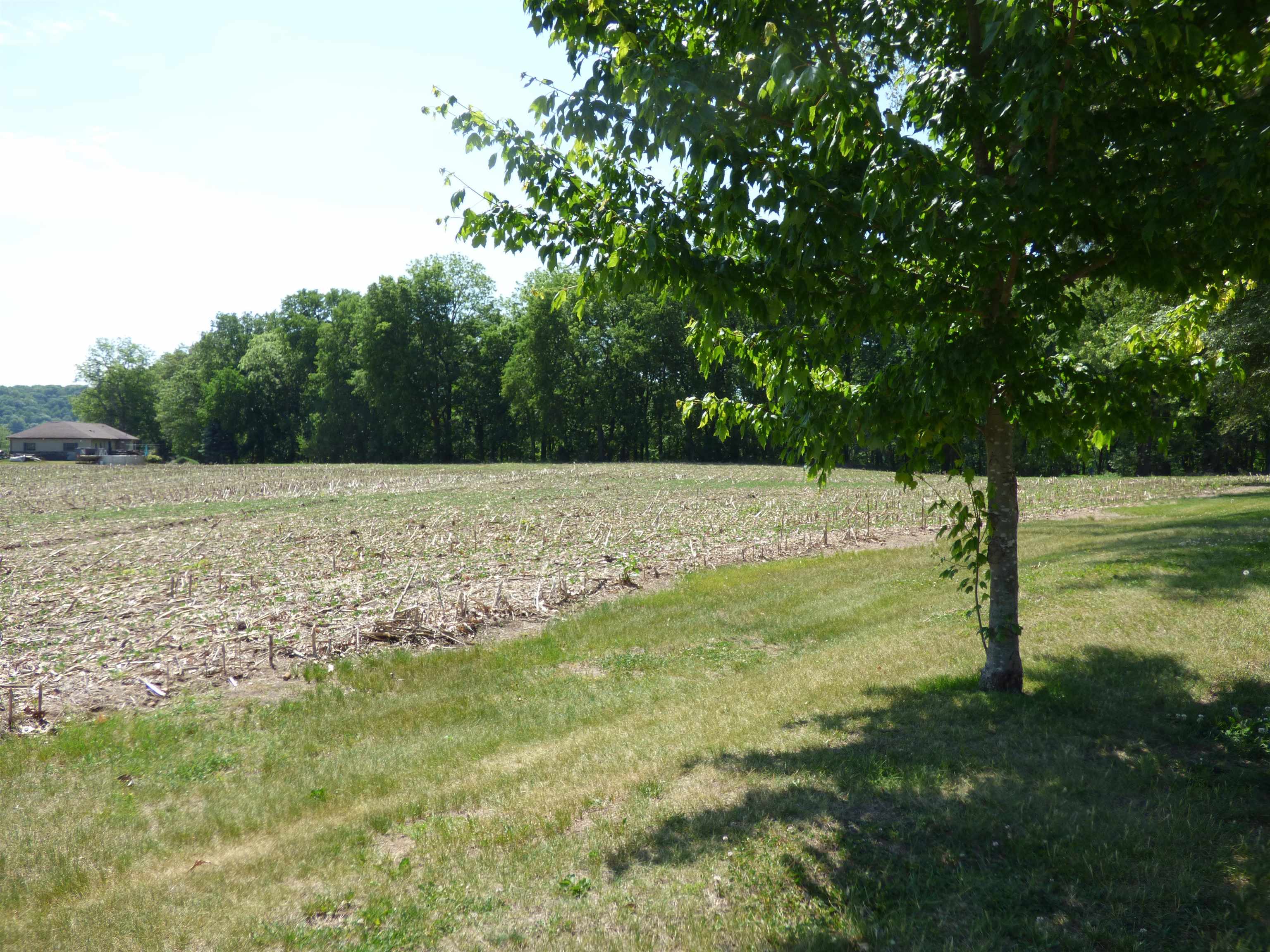 6384 A Diehl Road Savanna, IL 61074 - Photo 27 of 32 a view of a field with an trees