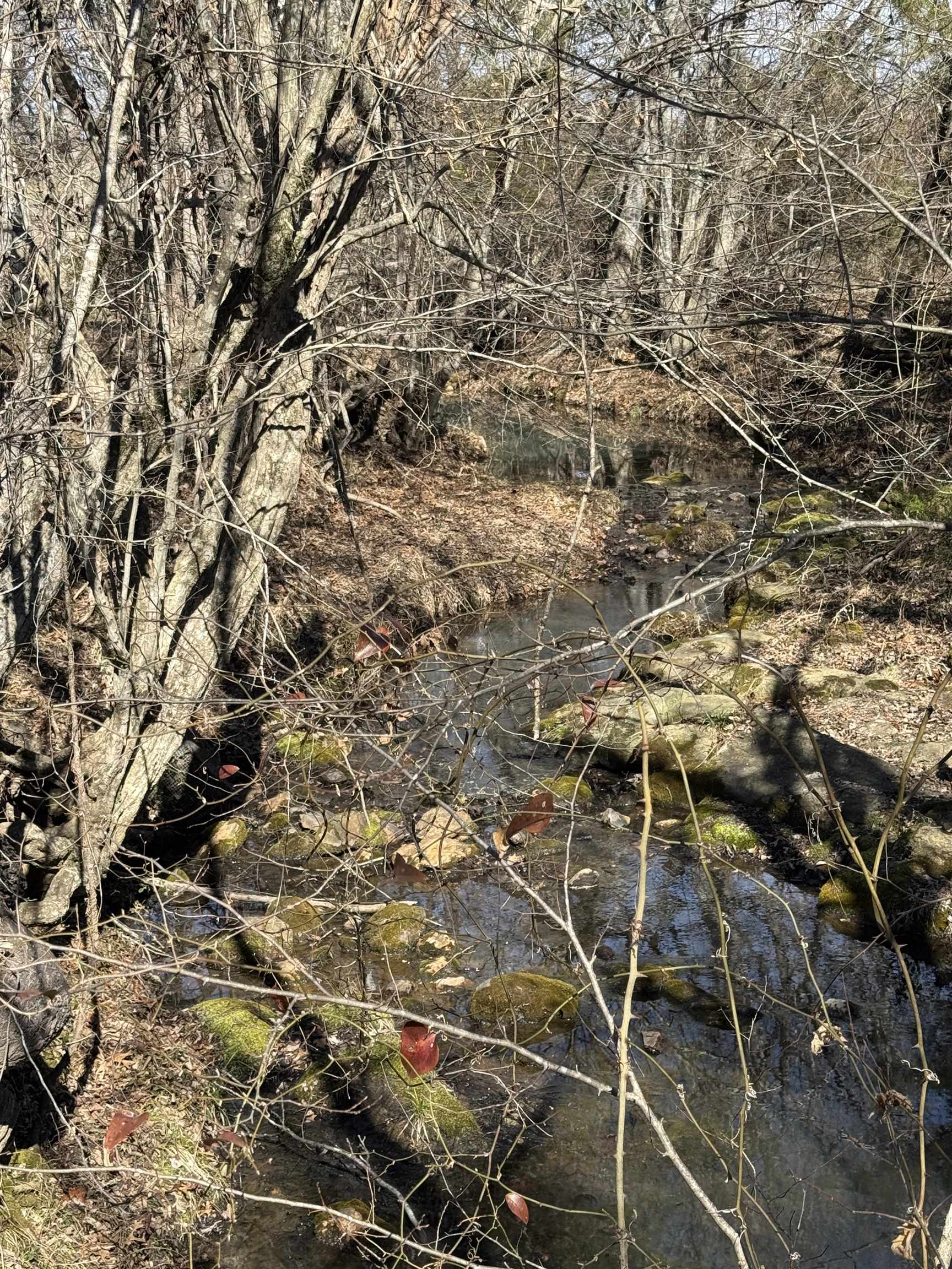 0 Lower Fairforest Church Road Union, SC 29379 - Photo 12 of 16