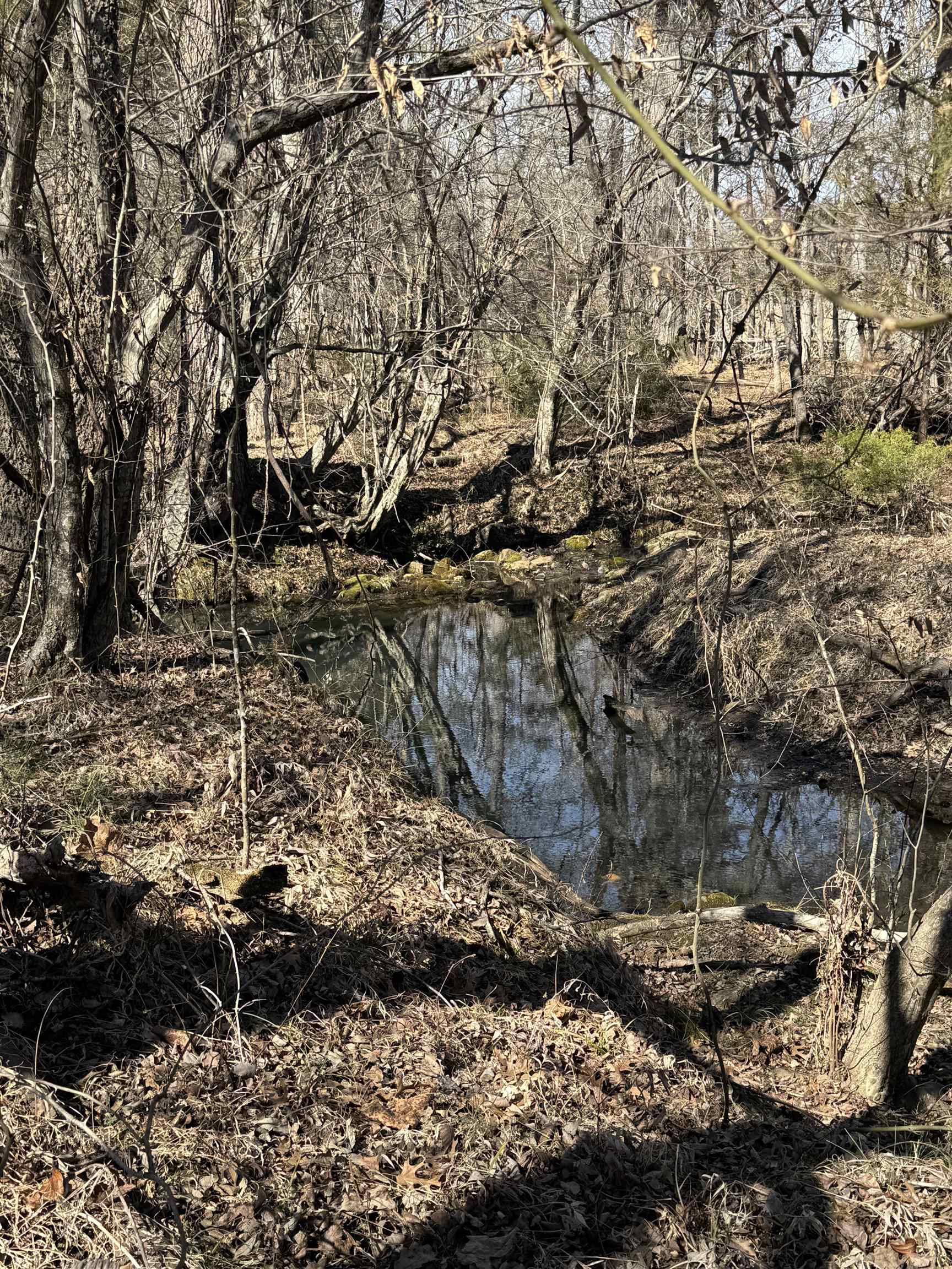 0 Lower Fairforest Church Road Union, SC 29379 - Photo 13 of 16