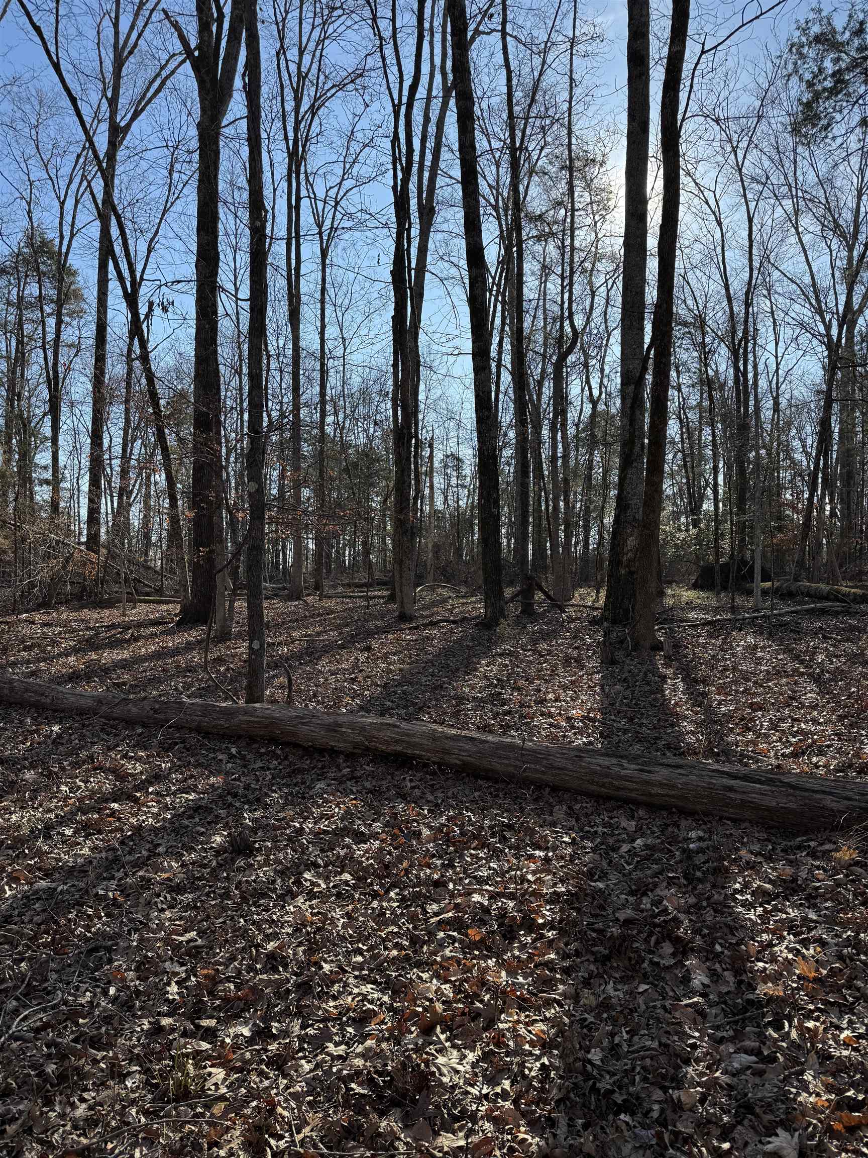 0 Lower Fairforest Church Road Union, SC 29379 - Photo 14 of 16