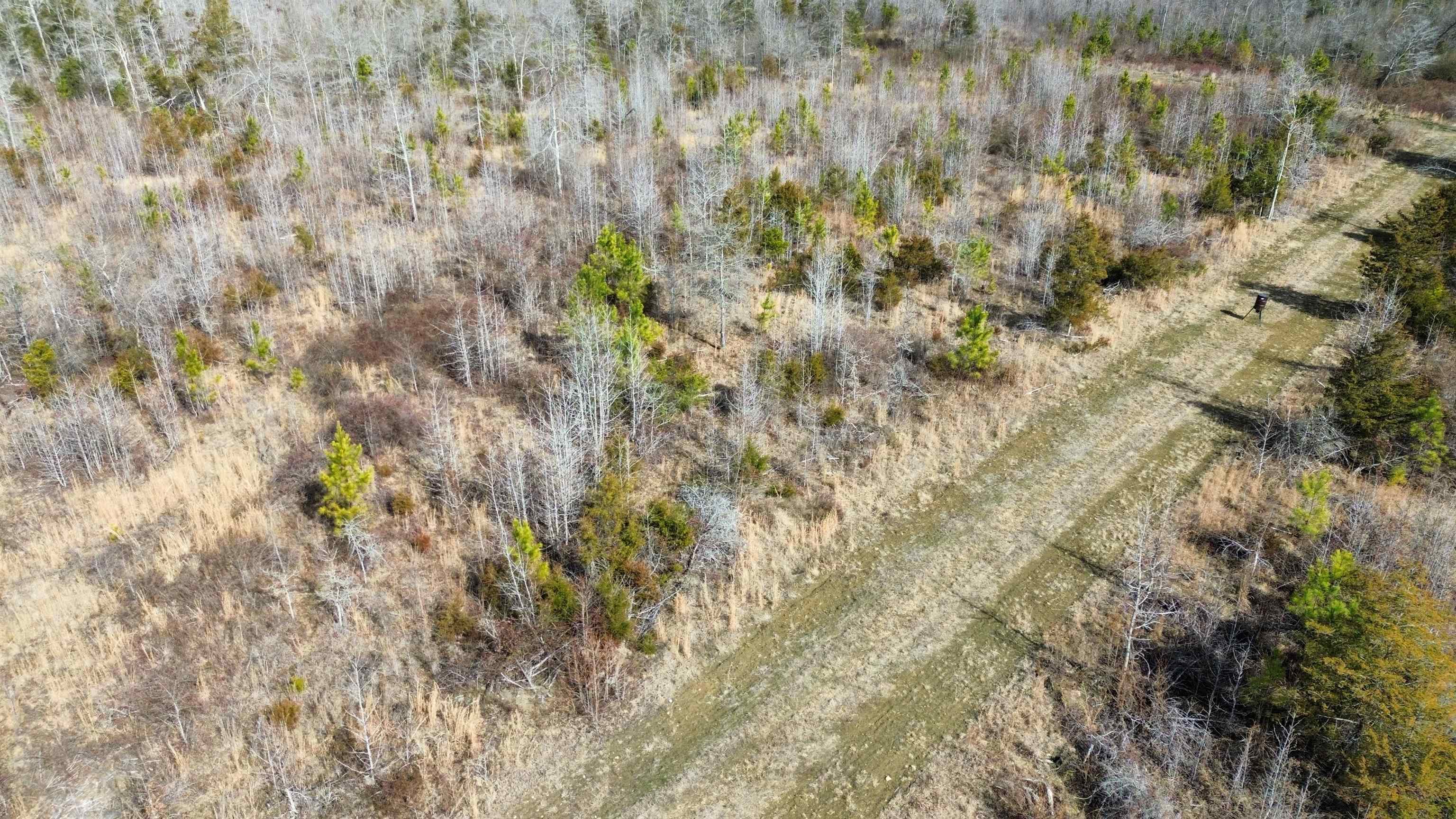 0 Lower Fairforest Church Road Union, SC 29379 - Photo 3 of 16