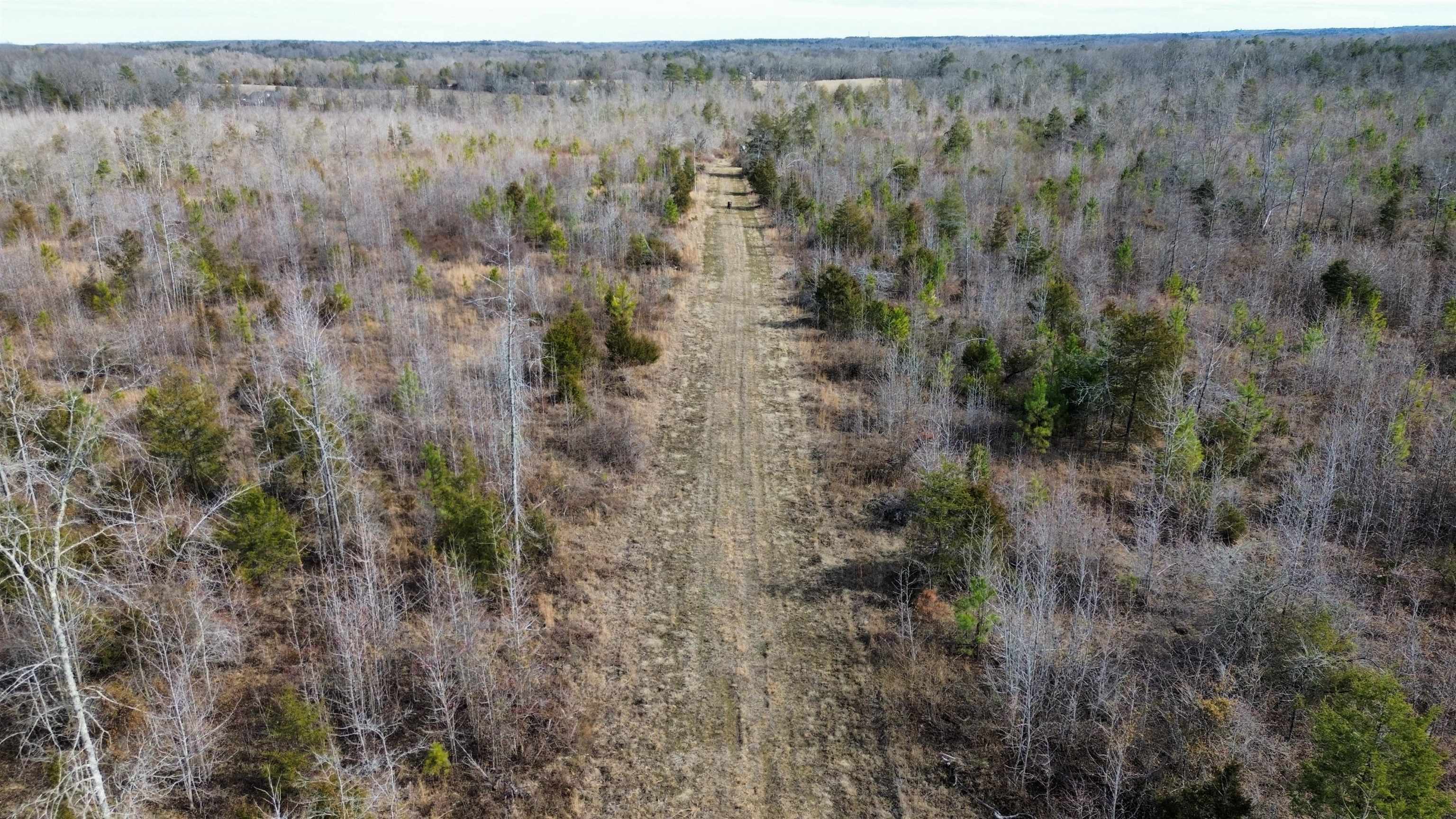 0 Lower Fairforest Church Road Union, SC 29379 - Photo 4 of 16