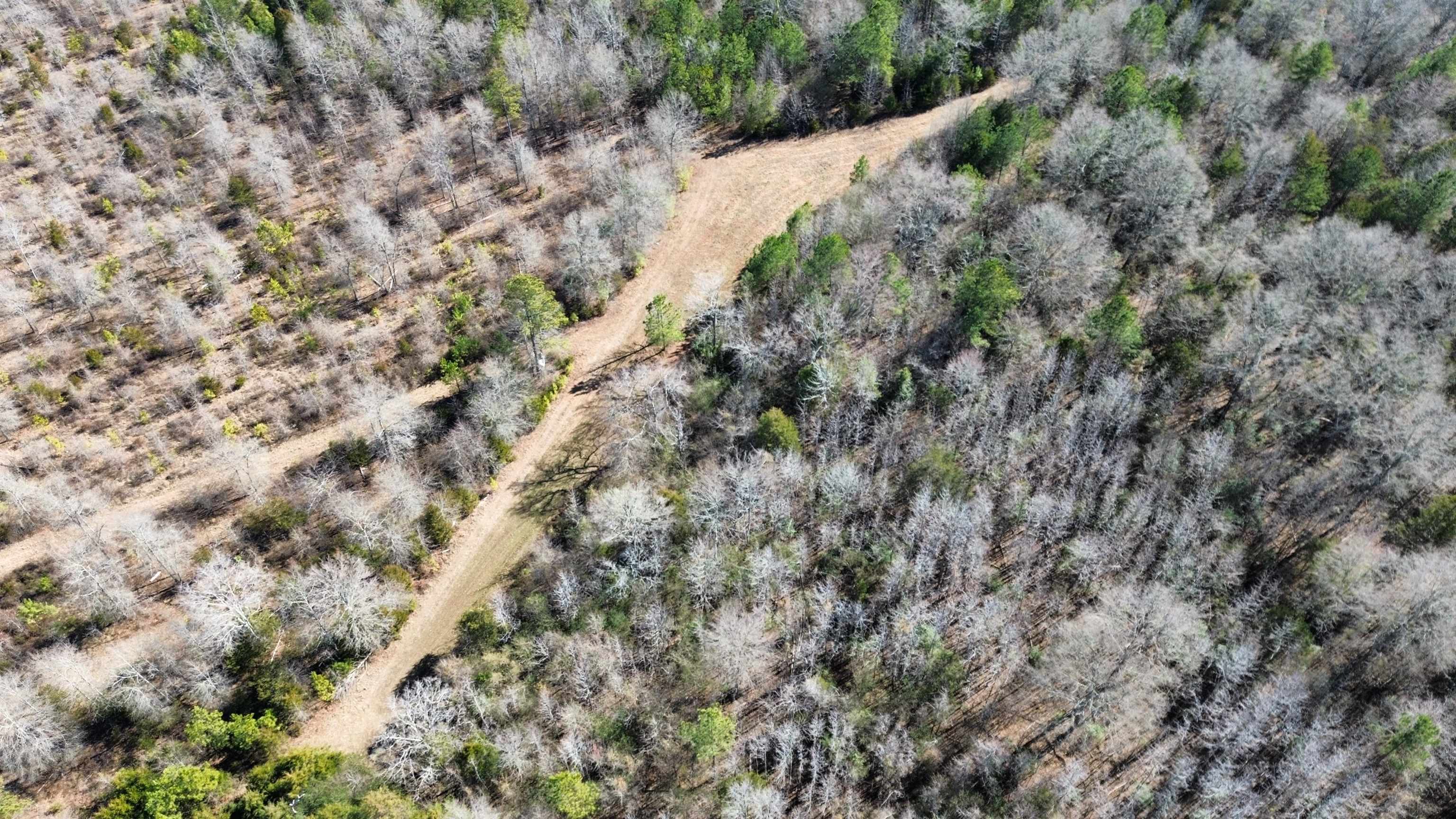 0 Lower Fairforest Church Road Union, SC 29379 - Photo 5 of 16