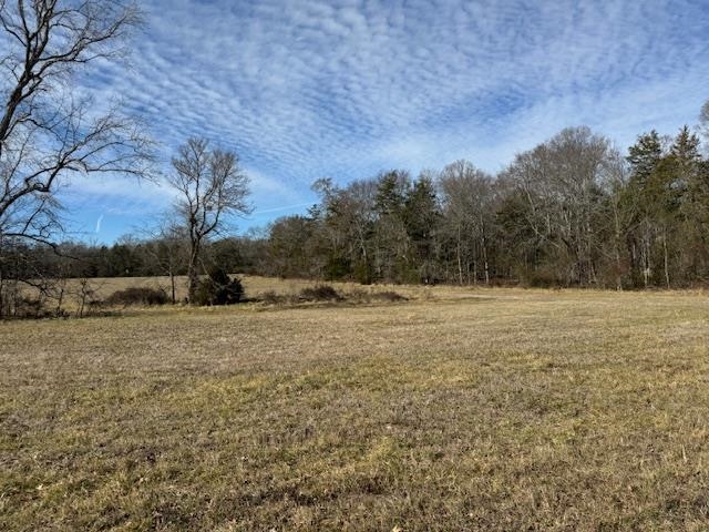 0 Lower Fairforest Church Road Union, SC 29379 - Photo 6 of 16