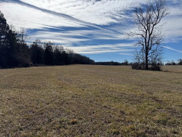 0 Lower Fairforest Church Road Union, SC 29379 - Photo 7 of 16