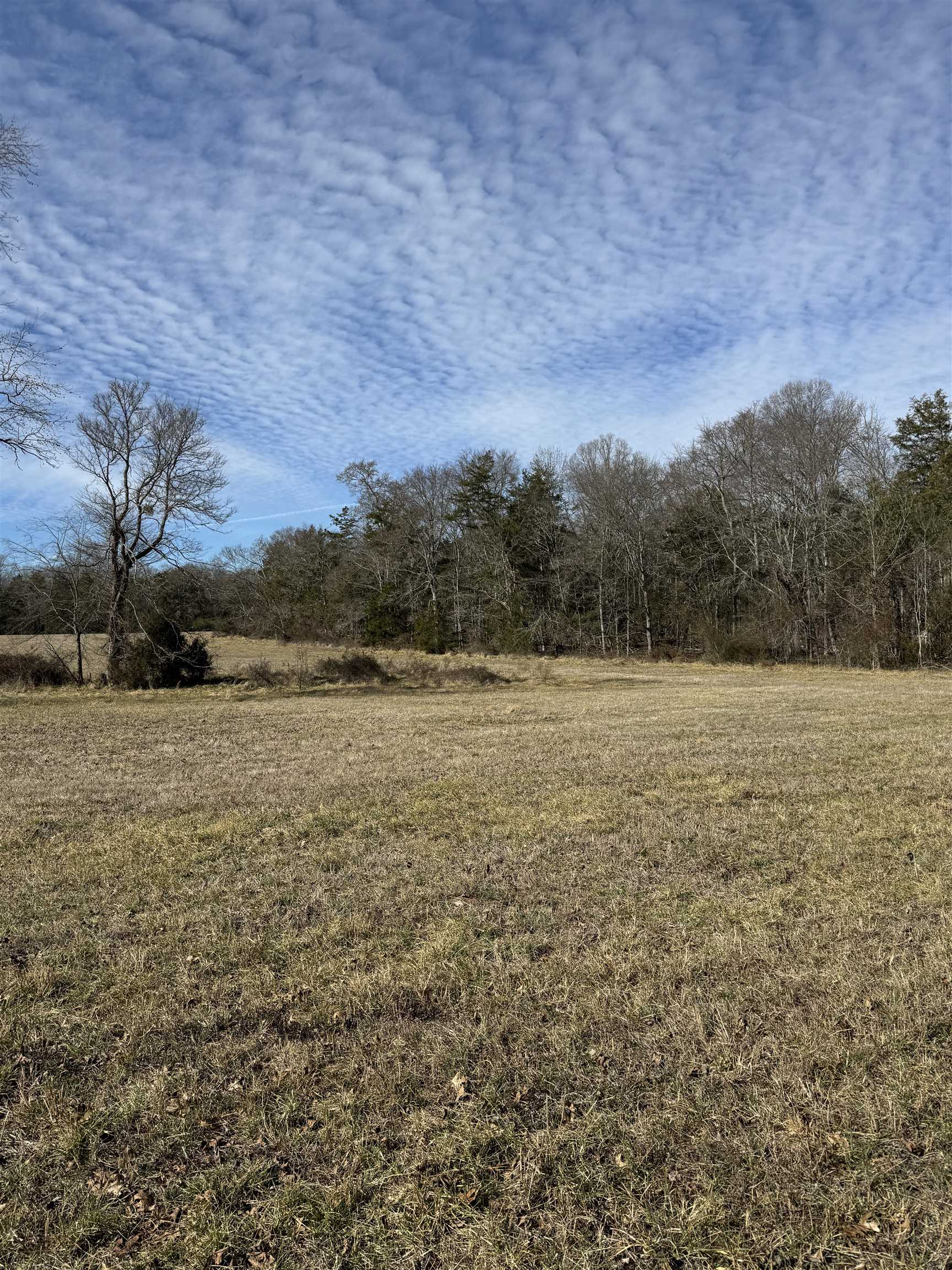 0 Lower Fairforest Church Road Union, SC 29379 - Photo 9 of 16