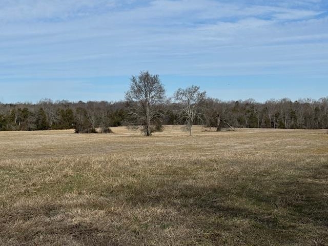 0 Lower Fairforest Church Road Union, SC 29379 - Photo 10 of 16