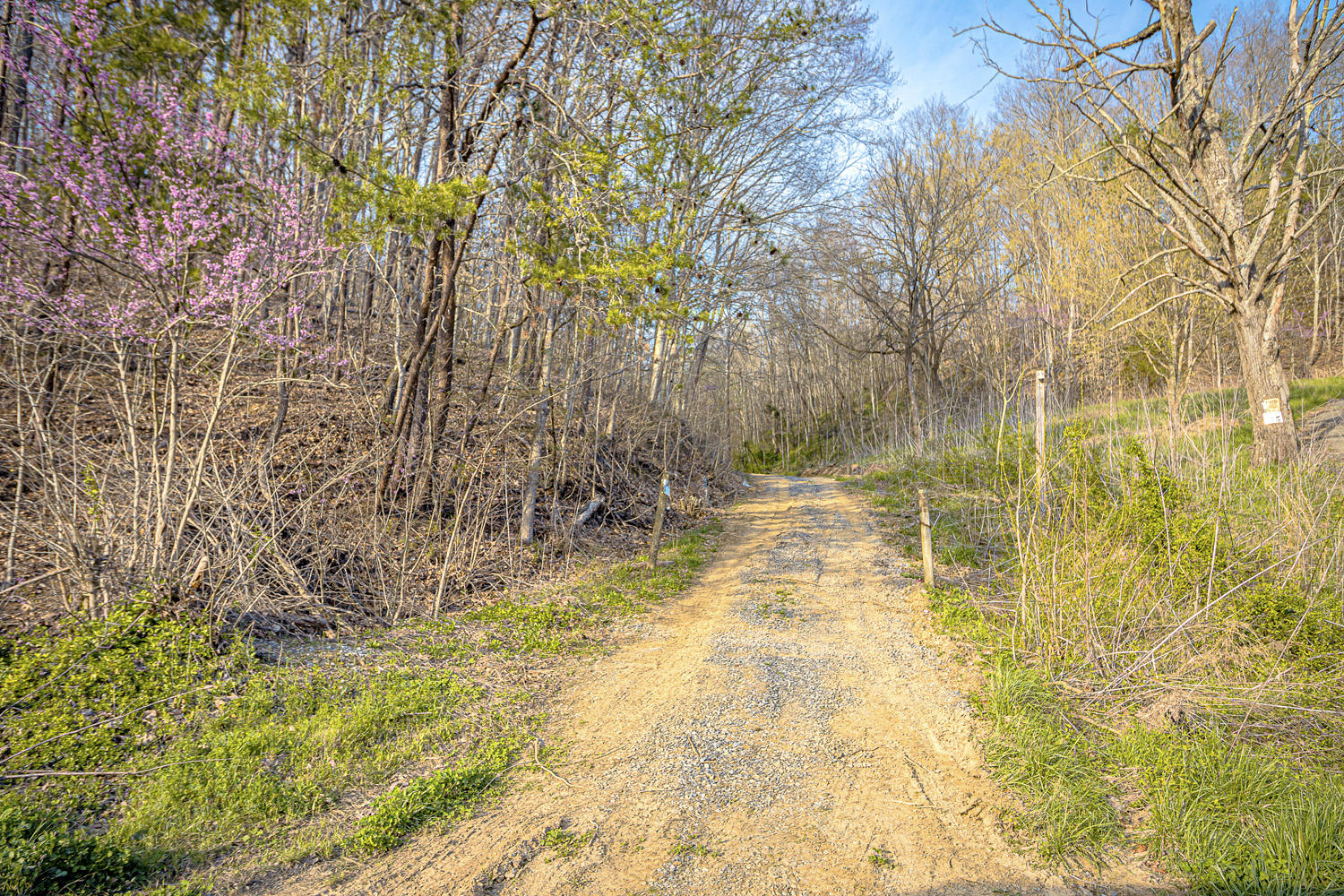 Dupont Road Seymour, TN 37865 - Photo 1 of 19 DupontRd_01 SPRING
