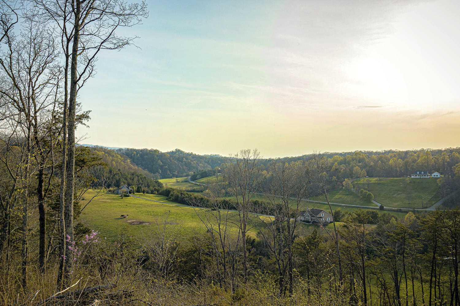 Dupont Road Seymour, TN 37865 - Photo 11 of 19 DupontRd_09