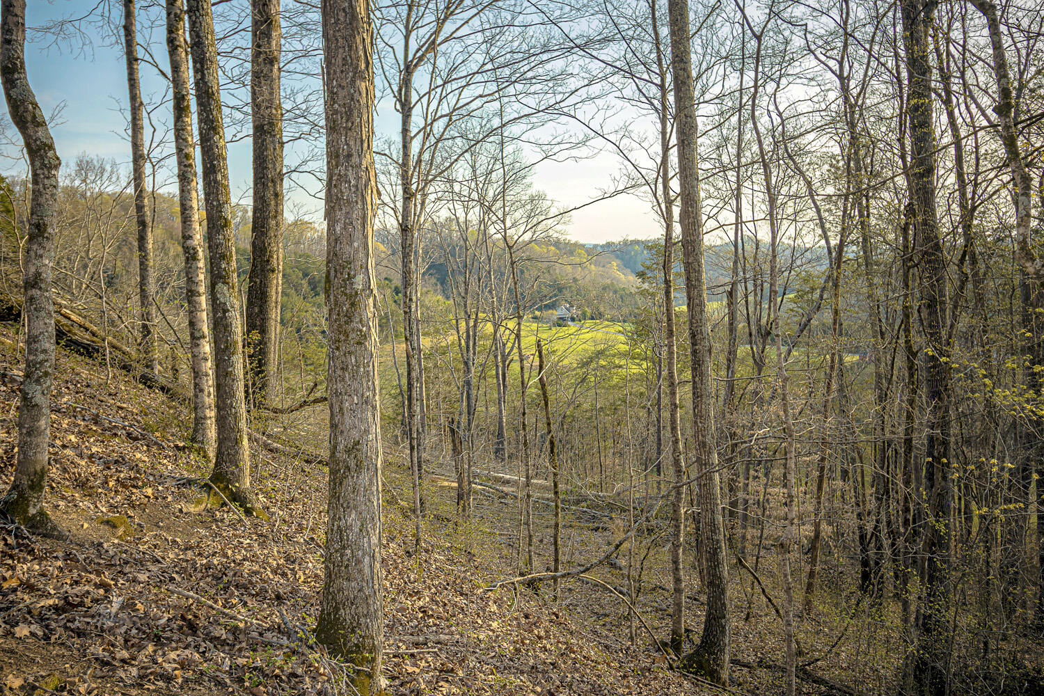 Dupont Road Seymour, TN 37865 - Photo 13 of 19 DupontRd_11