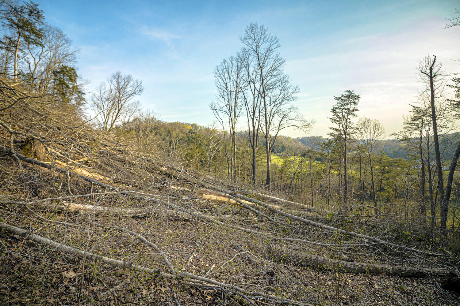 Dupont Road Seymour, TN 37865 - Photo 14 of 19 DupontRd_12